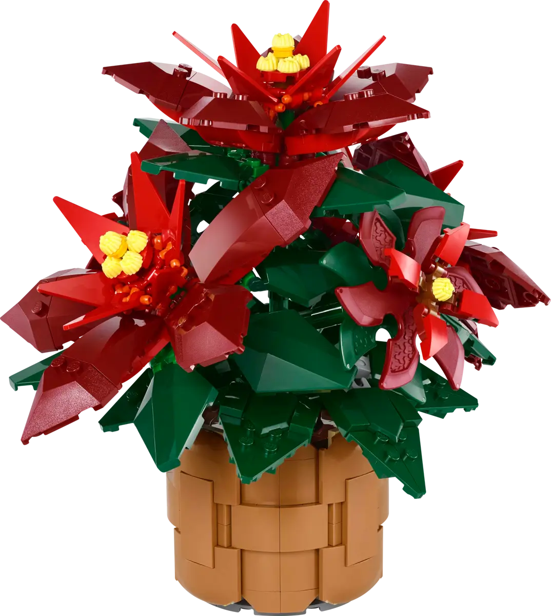 Recenzie LEGO Icons 10370 Poinsettia: Floarea Crăciunului care nu se ofilește niciodată