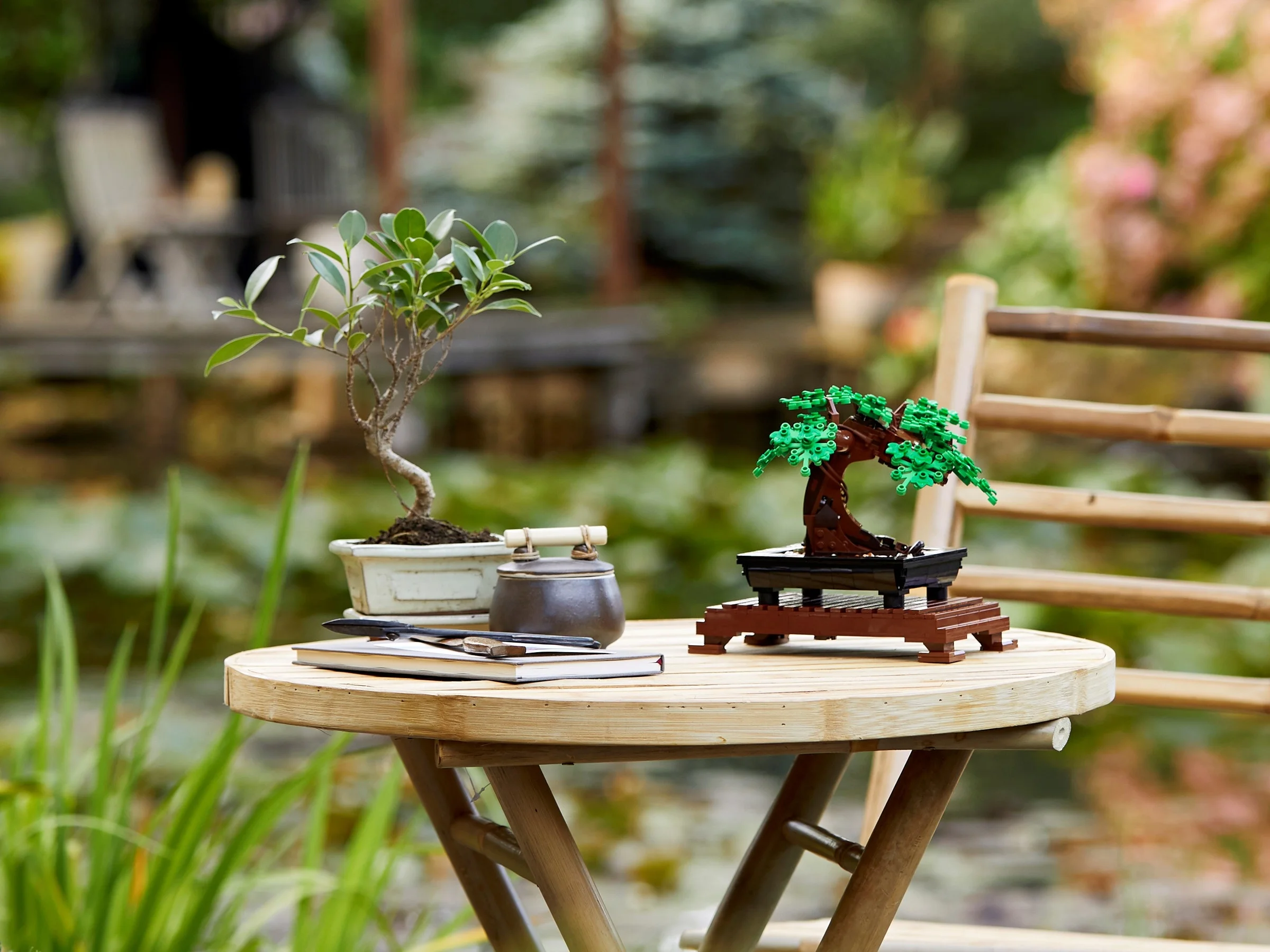 Prezentare LEGO Bonsai Tree 10281 alături de un bonsai real, într-un cadru natural.