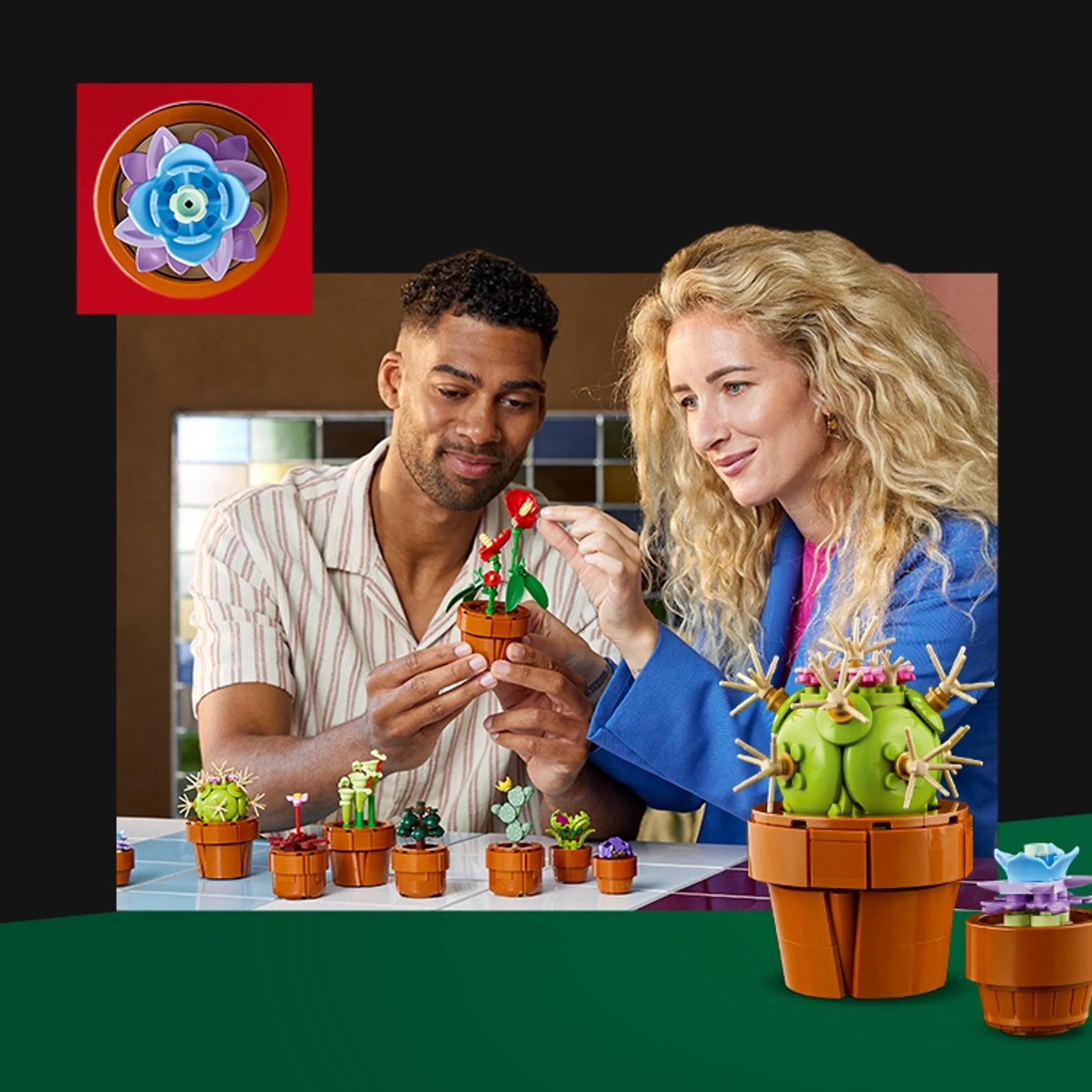 Un cuplu asamblează plante LEGO. Un cactus și o floare sunt evidențiate.