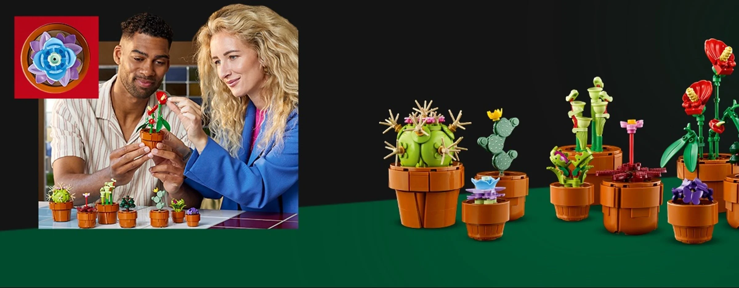 Două persoane construiesc plante LEGO Tiny Plants. Un aranjament complet de plante este expus.