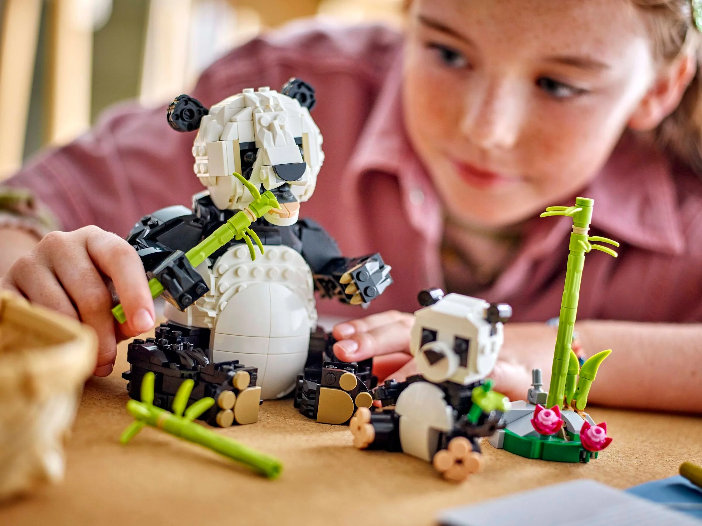 Fetiță construind setul LEGO Panda Family. Detaliile panda și bambusul sunt vizibile.