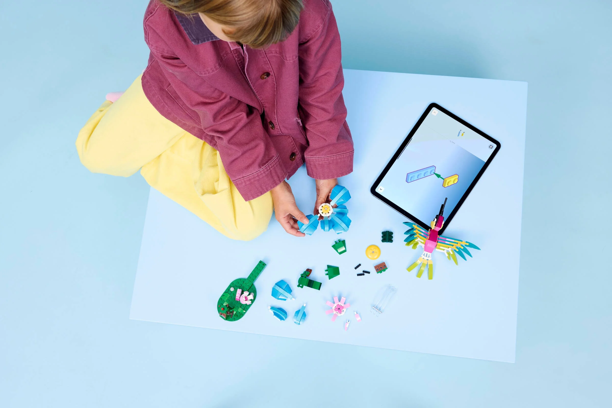 Imagine cu o fetiță construind colibriul LEGO 31384 folosind instrucțiuni pe tabletă. Piese împrăștiate pe masă.