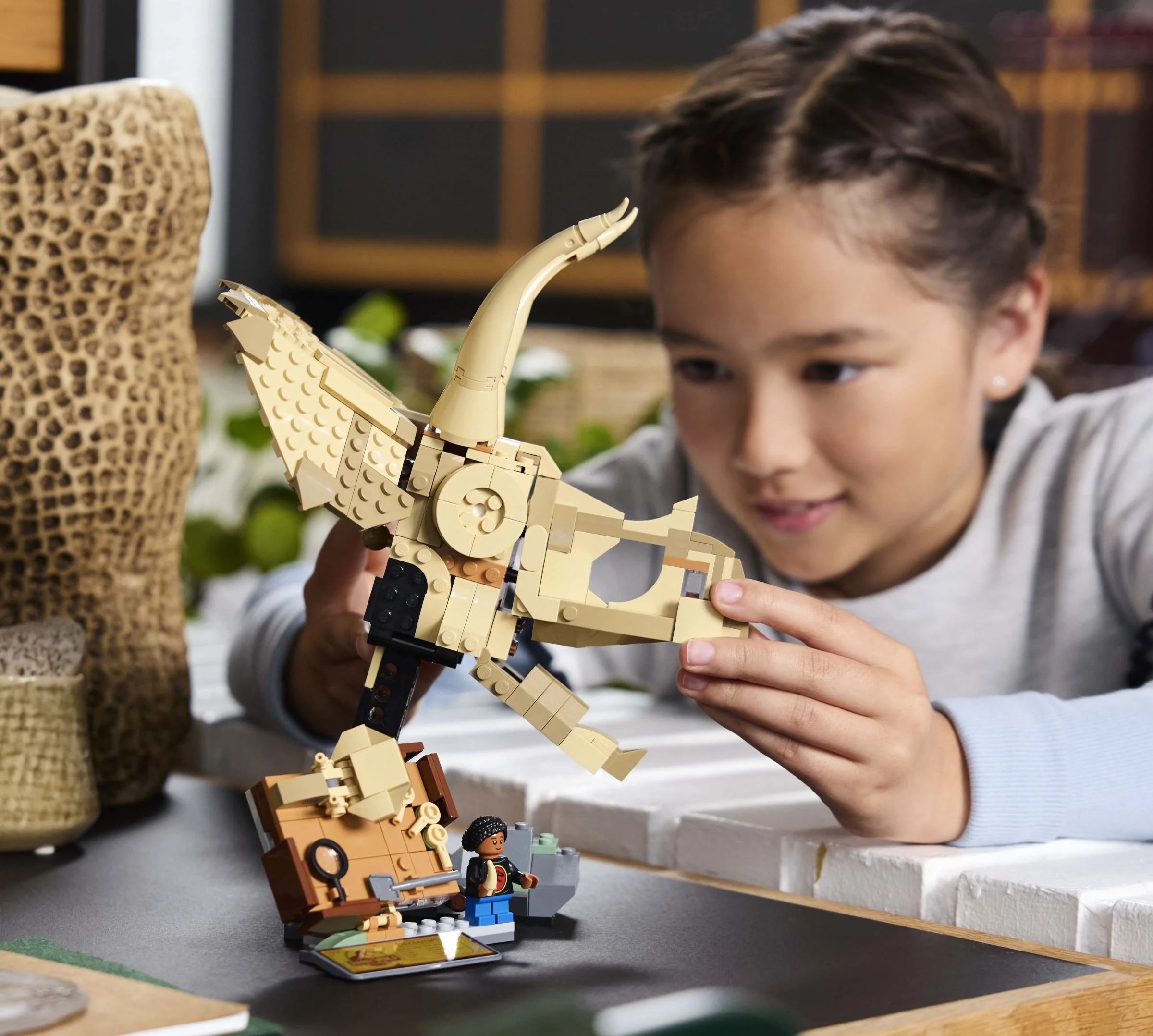 Fetiță admirând craniul de Triceratops LEGO, cu birou și minifigurină în fundal.