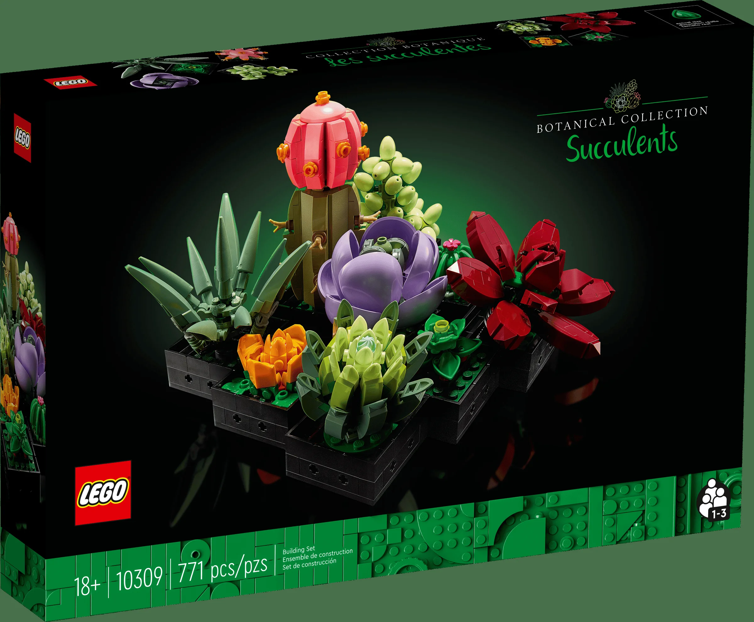 Cutia LEGO 10309 Succulents prezintă modelul complet, viu colorat și atractiv.