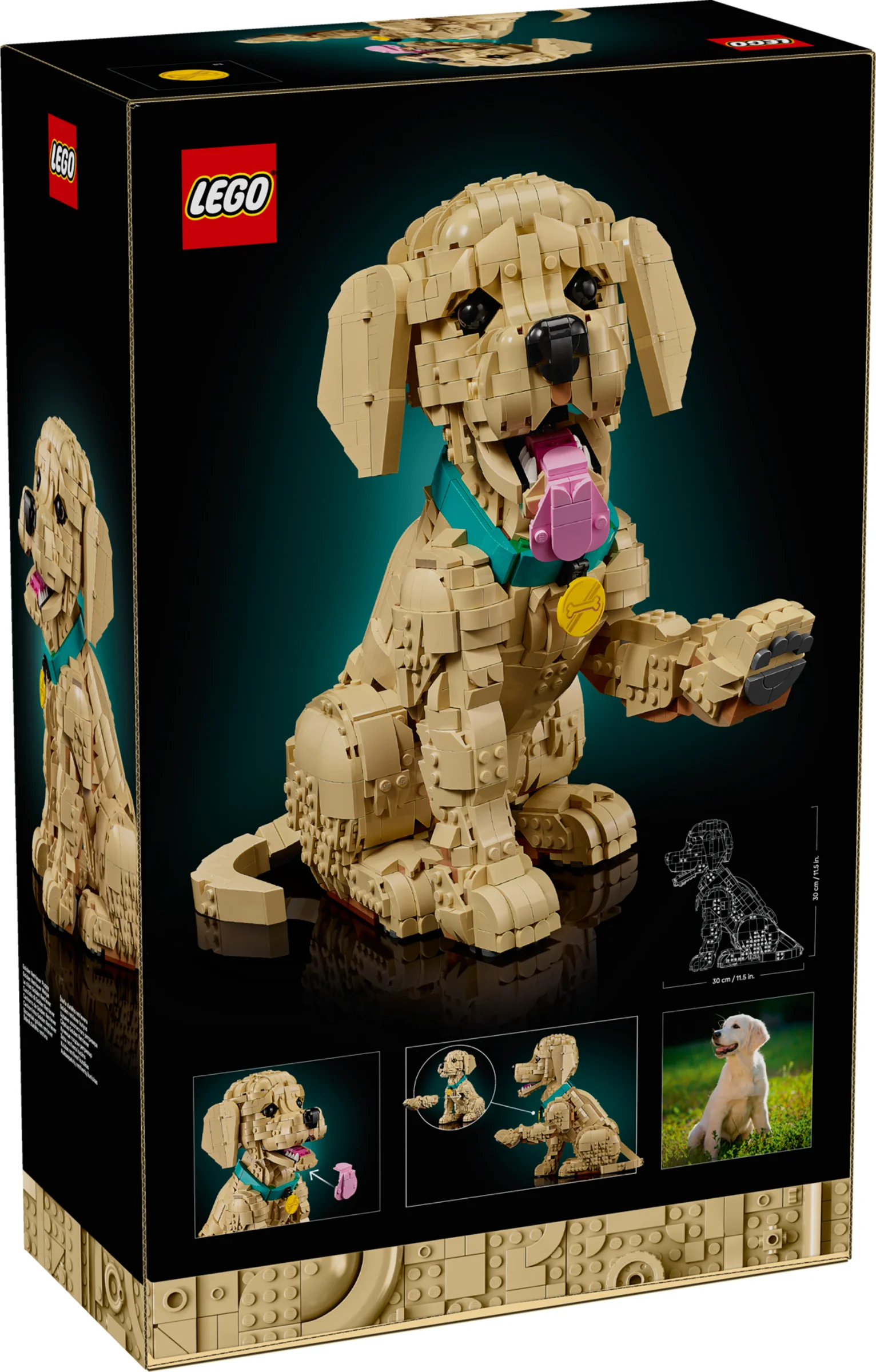 Cutia setului LEGO Golden Retriever Puppy, cu modelul construit afișat. Imagine detaliată, atractivă.