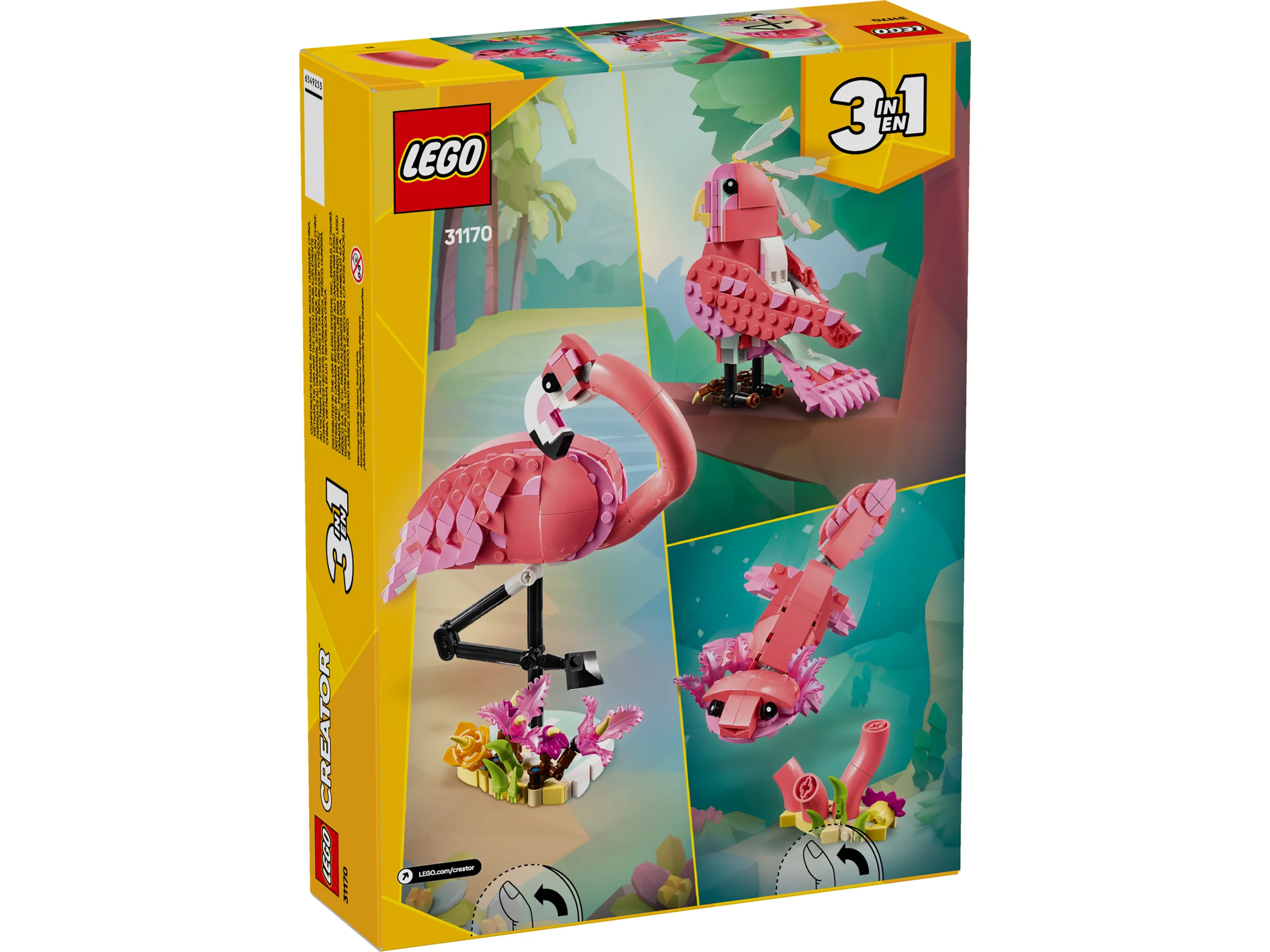 Spatele cutiei cu flamingo roz și modele alternative: pasăre, salamandră.
