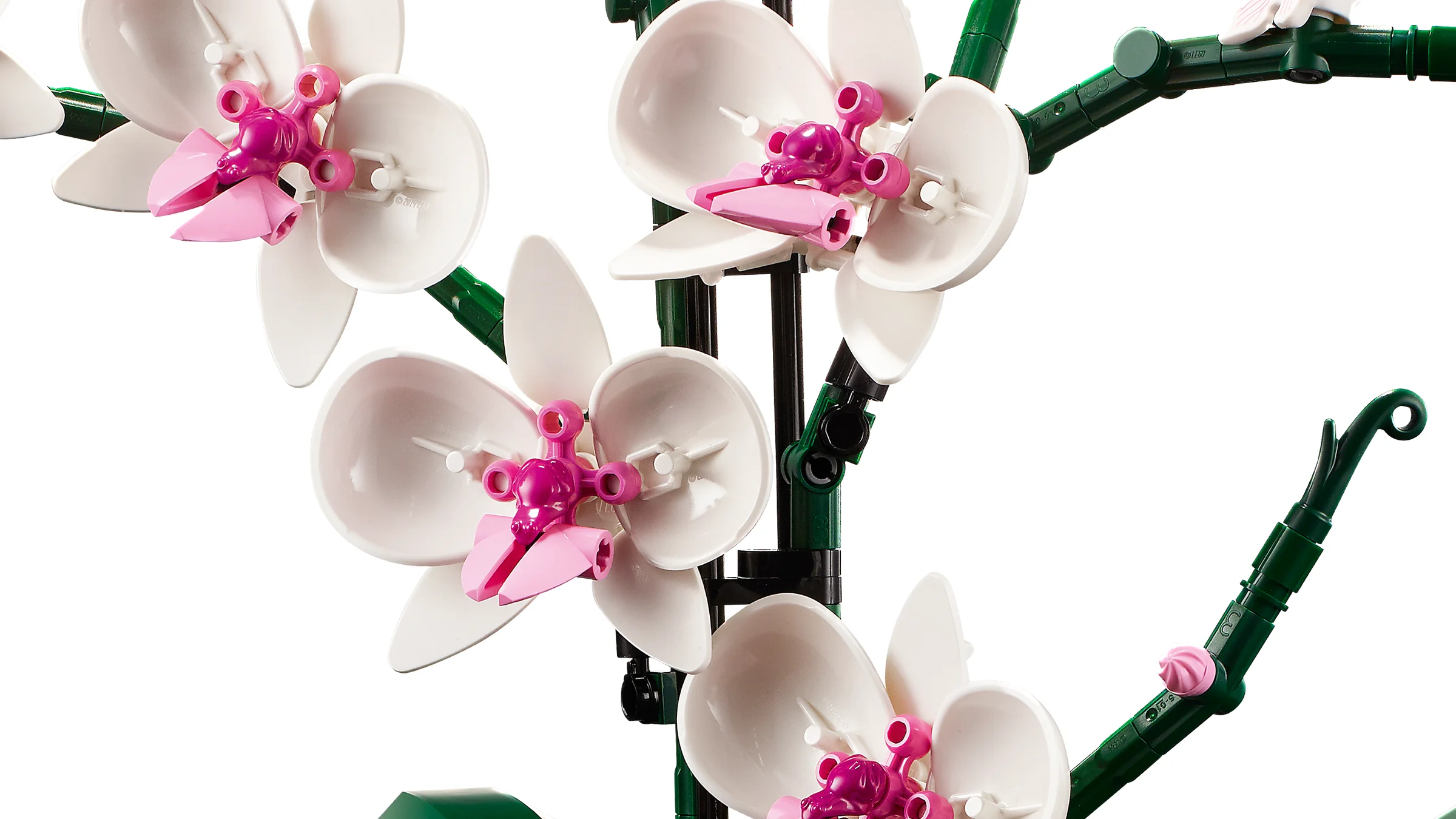 Detalii ale florilor de orhidee LEGO 10311, cu petale albe și centru roz. Model realist, floral.