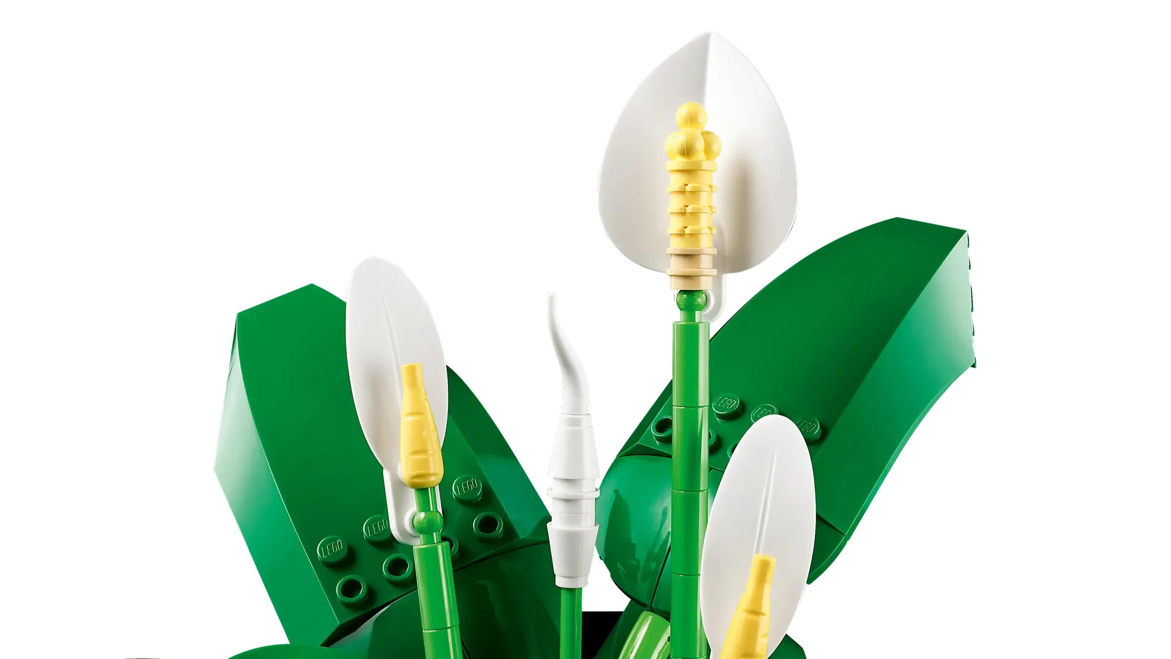 Detaliu al modelului LEGO Peace Lily (11504), ce prezintă frunzele verzi și florile albe.