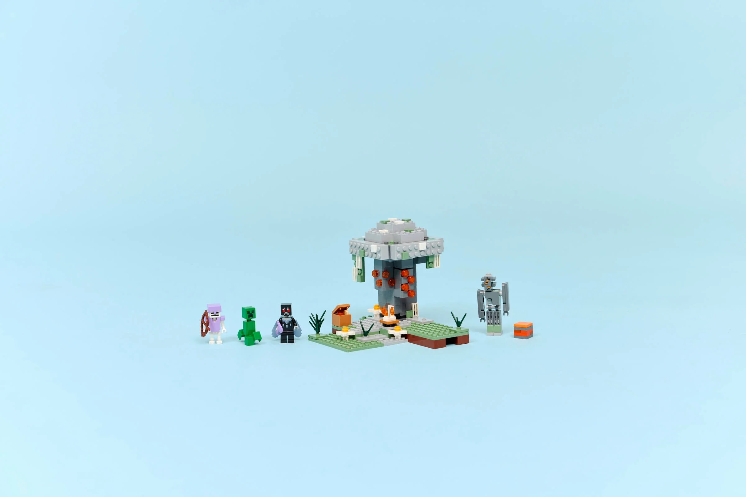 LEGO 21586