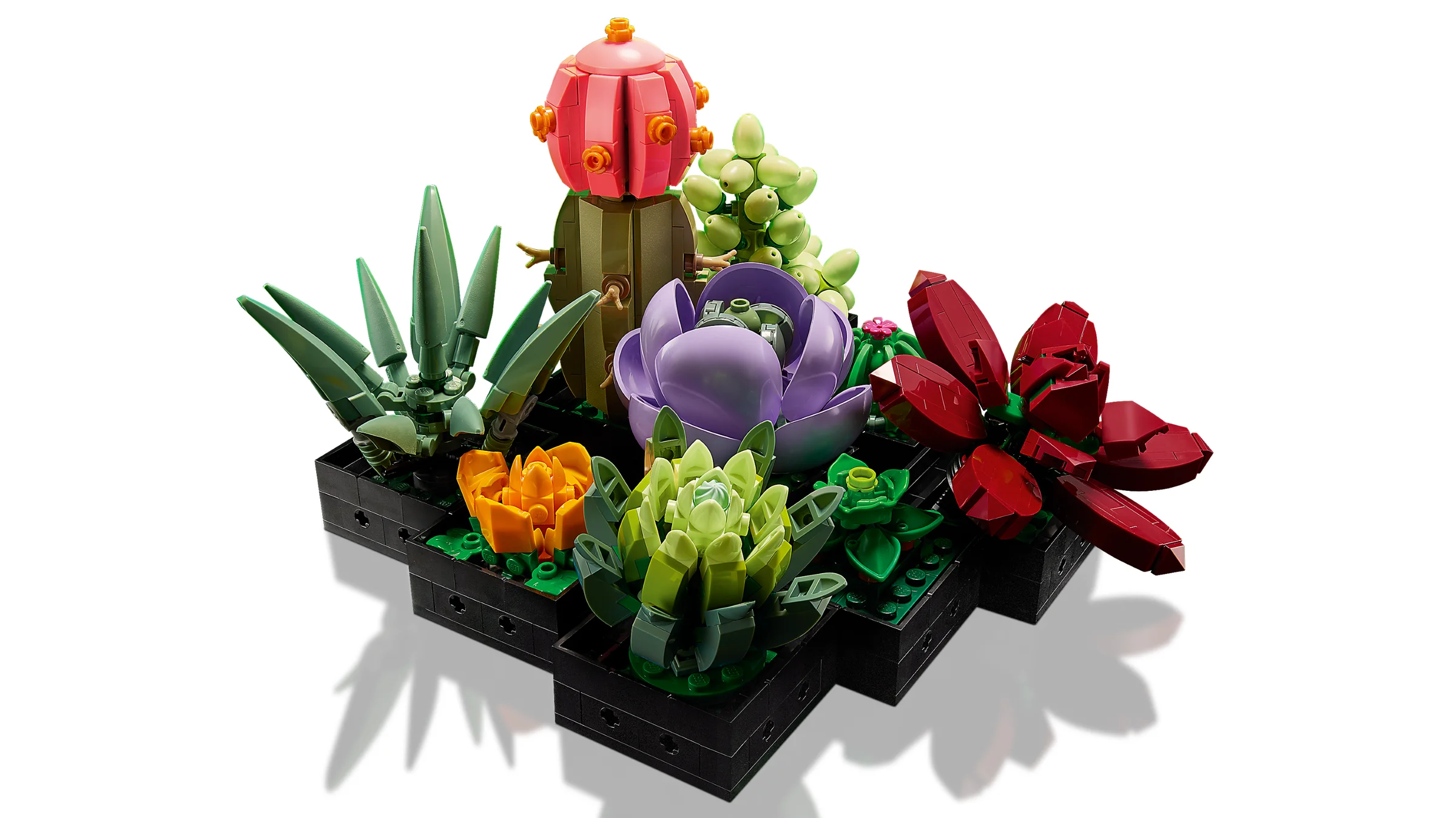 Setul LEGO 10309 Succulents prezintă diverse suculente colorate, aranjate frumos în ghivece.