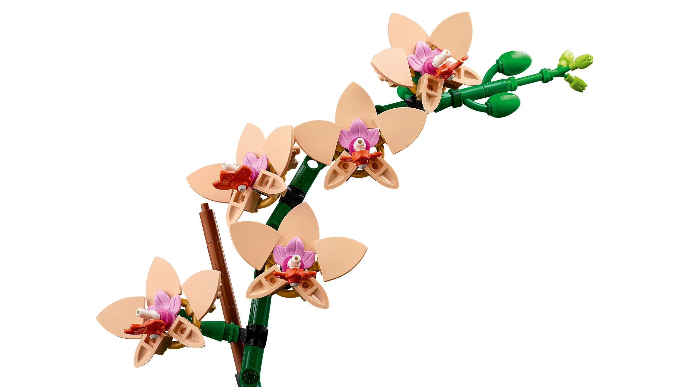 Imagine detaliată cu orhideea mini LEGO 10343. Design floral delicat, aspect realist.