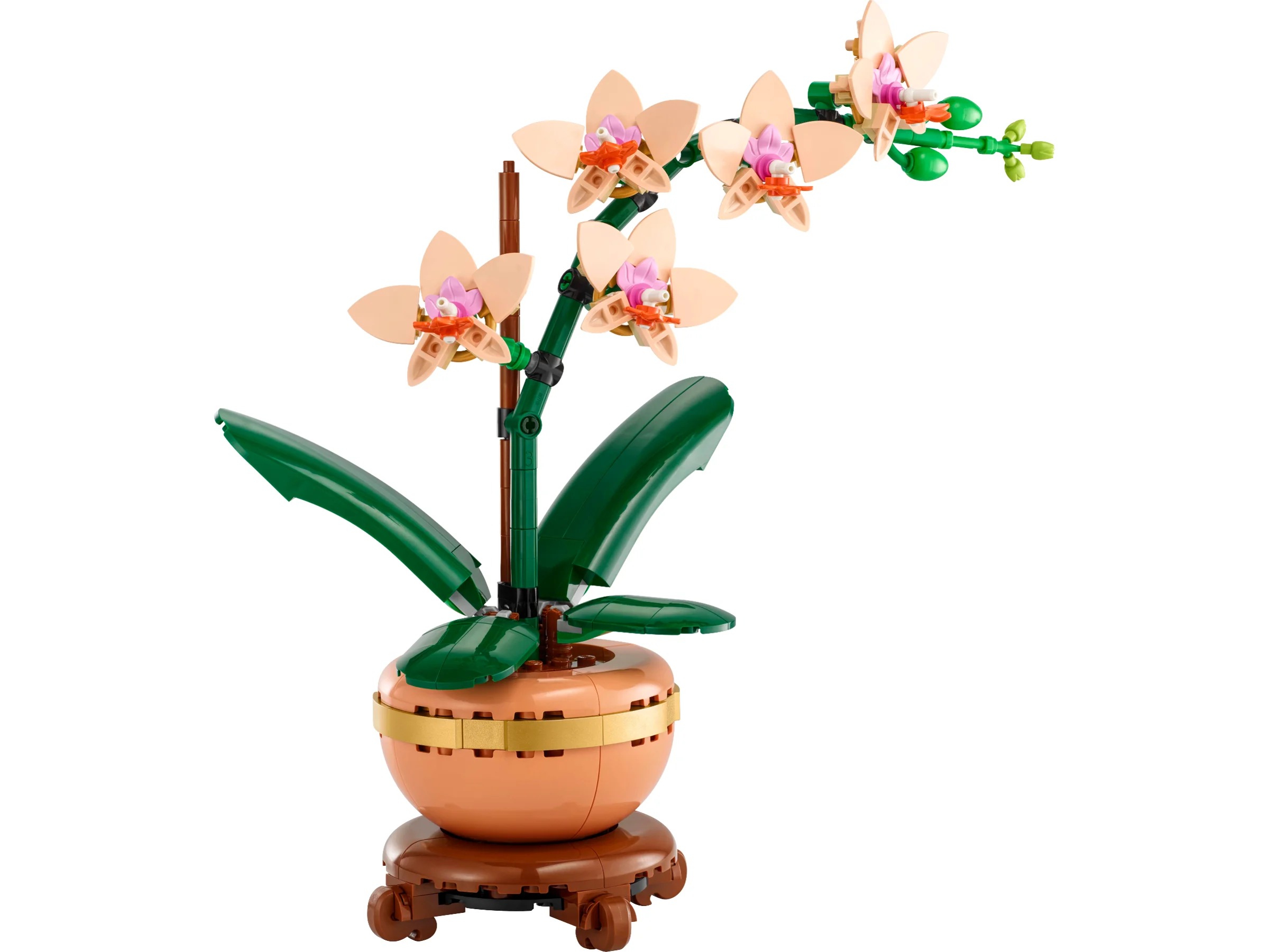 LEGO 10343 - Recenzie LEGO Icons 10343 Mini Orhidee: Eleganță botanică în format compact