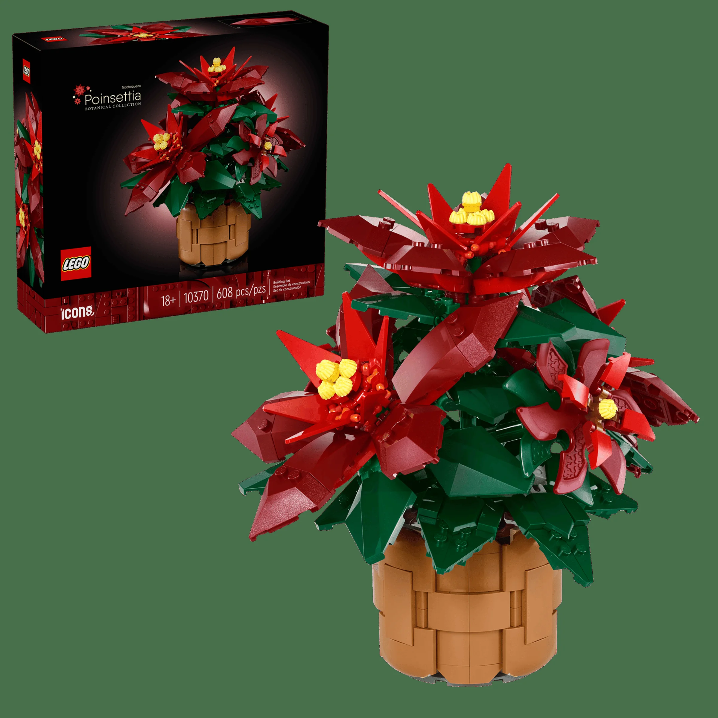 Imagine cu setul LEGO 10370 Poinsettia și cutia, prezentând detaliile florii și ambalajul.