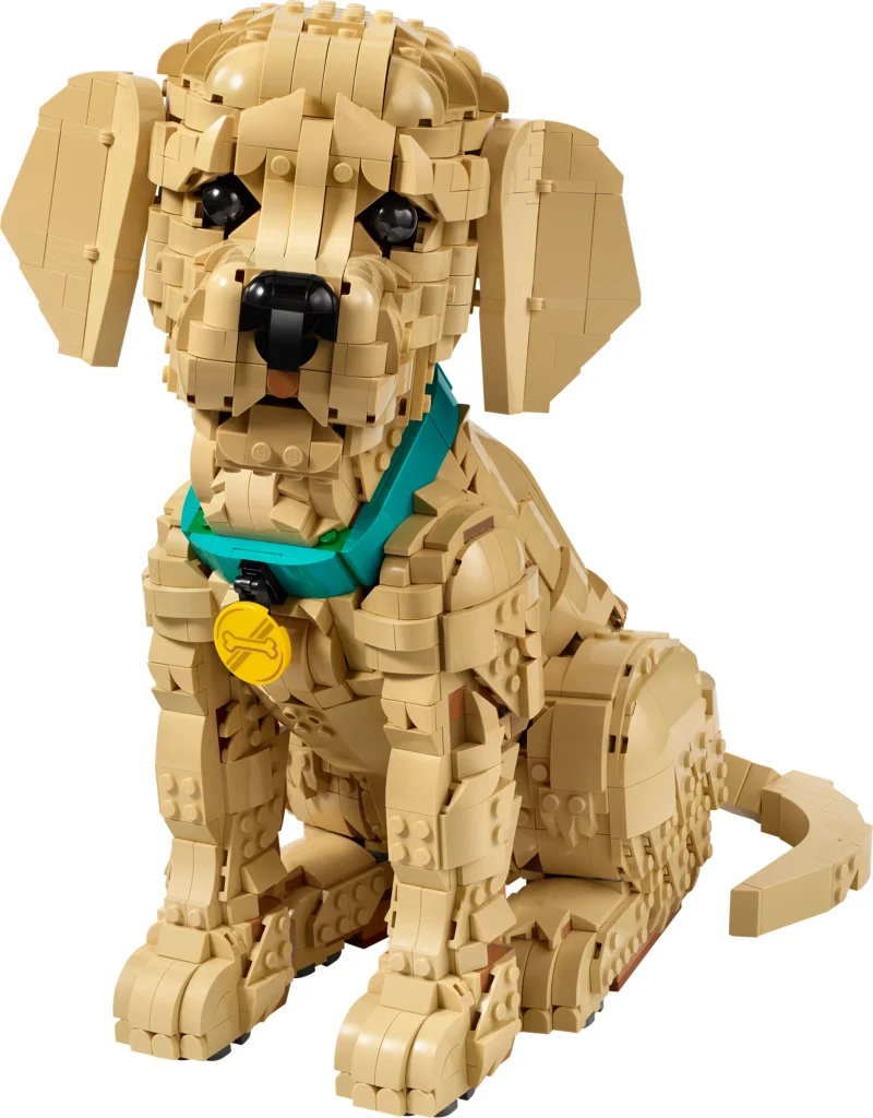 LEGO 11384 - Recenzie LEGO Icons 11384 Golden Retriever Puppy: Cel mai bun prieten al omului, piesă cu piesă