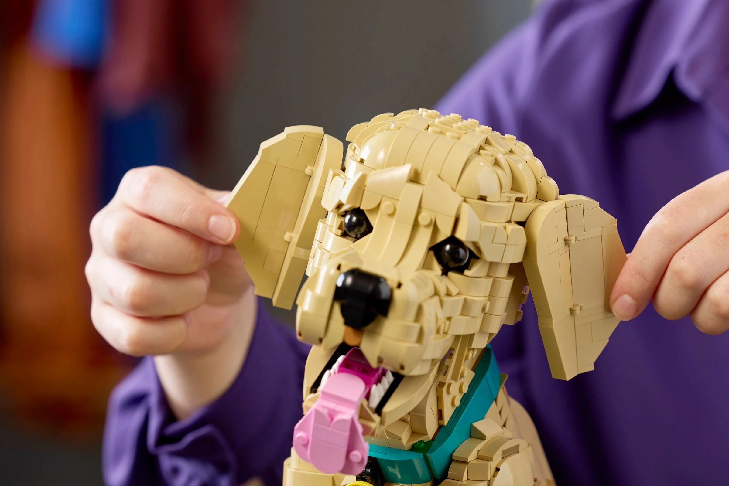Prim-plan cu un cățeluș Golden Retriever LEGO, cu o persoană ajustându-i urechea. Realizat din cărămizi bej.