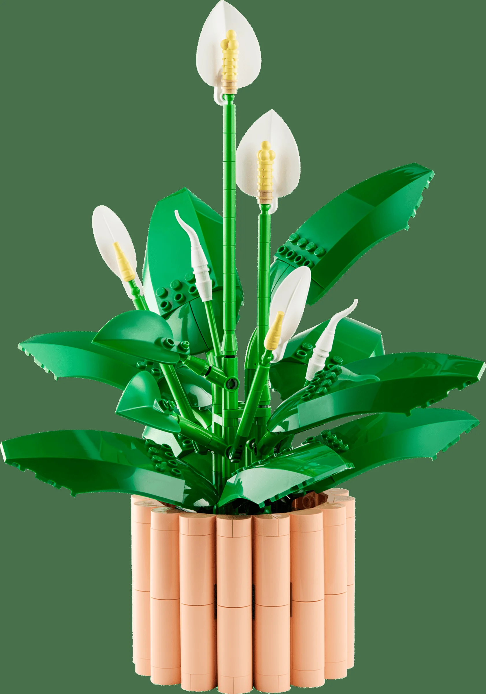 LEGO 11504 - Recenzie LEGO 11504 Crinul păcii: Eleganță botanică pentru începutul de an