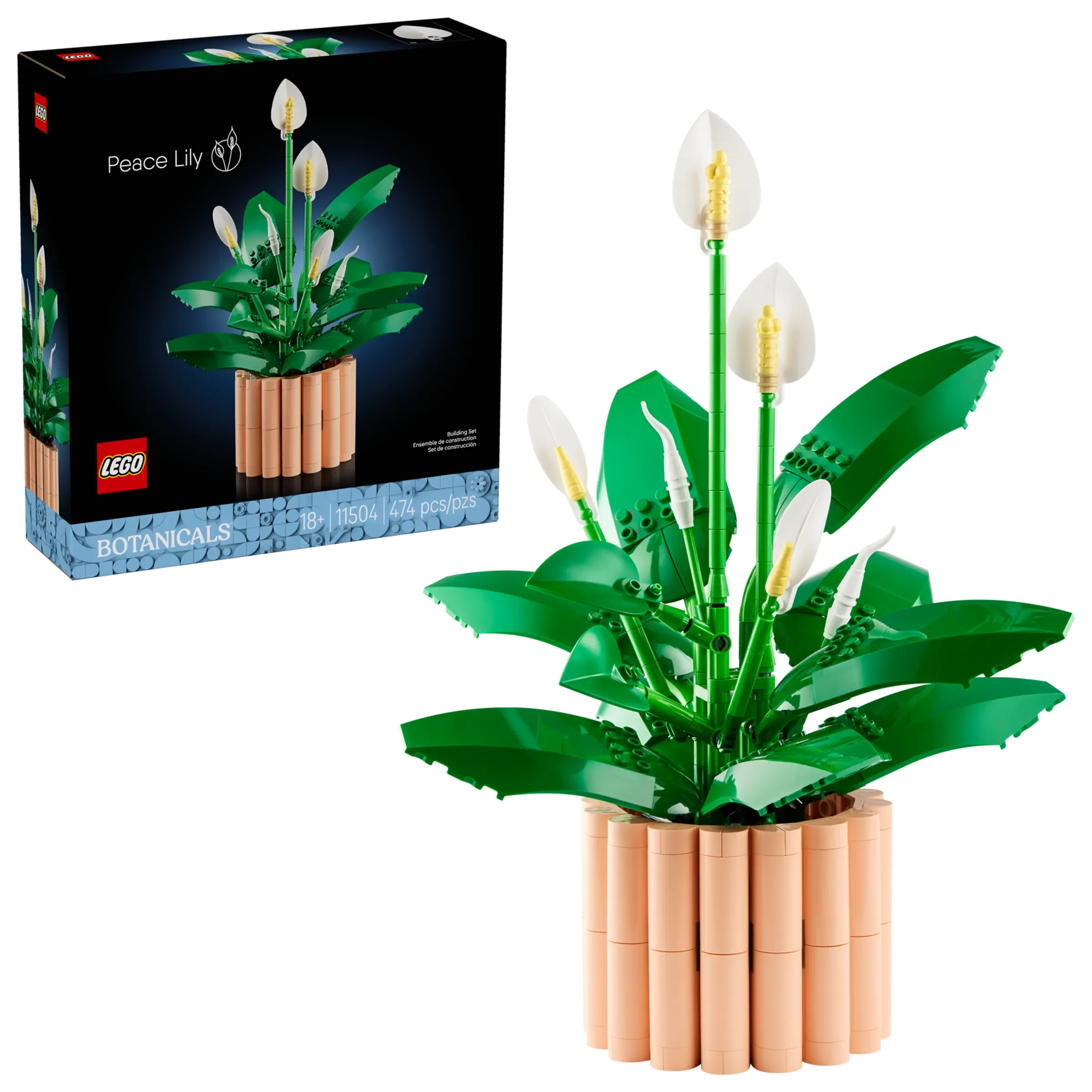 Imagine cu setul LEGO 11504 Crinul Păcii, incluzând modelul asamblat și cutia produsului.