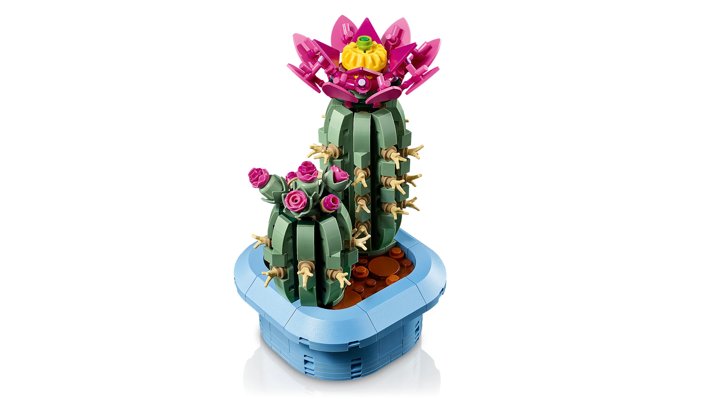 Cactus înfloritor LEGO din colecția Botanicals, cu flori roz și ghiveci albastru. Un cadou frumos și durabil.