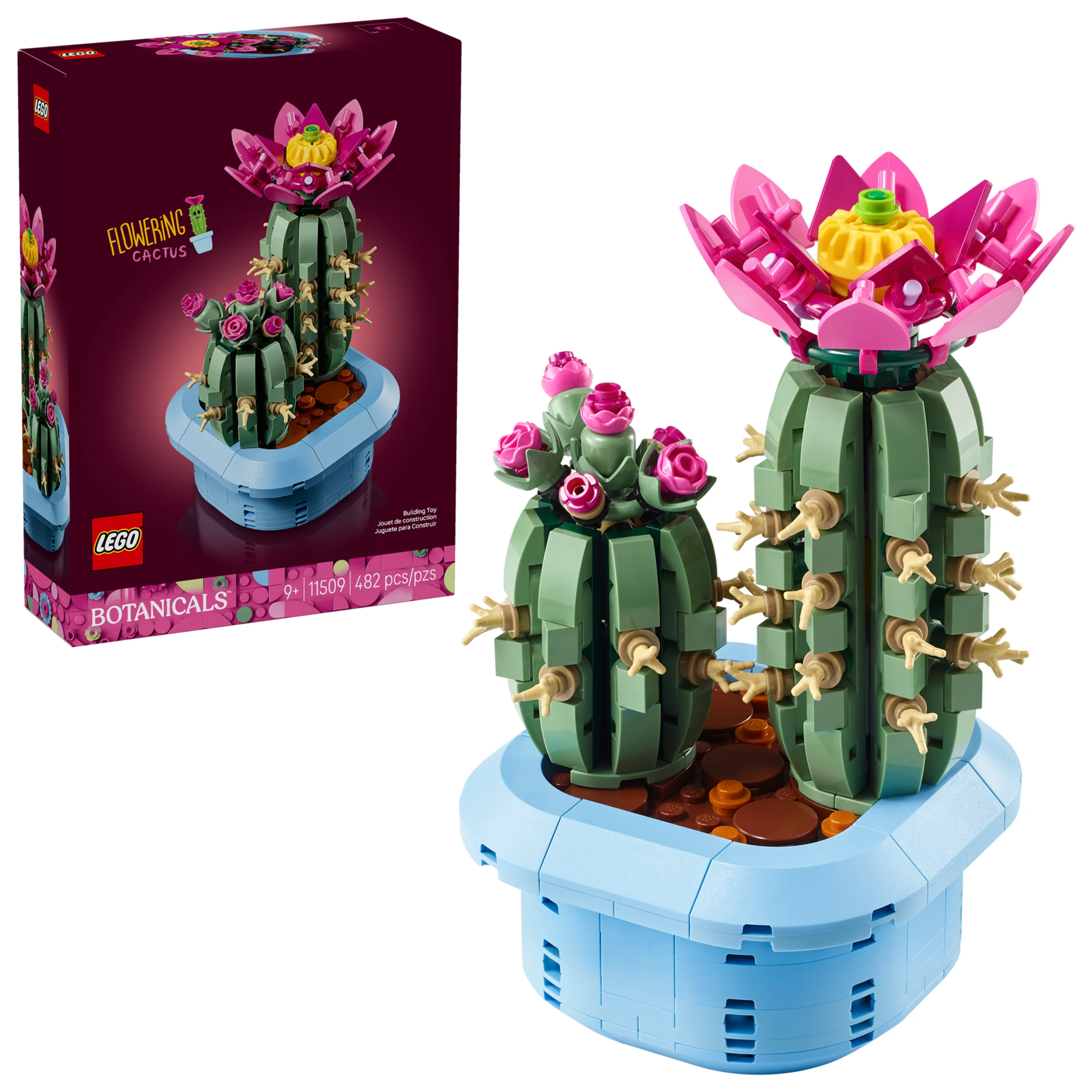 Imagine cu setul LEGO 11509, Cactus înflorit, alături de cutia produsului. Un cadou minunat!