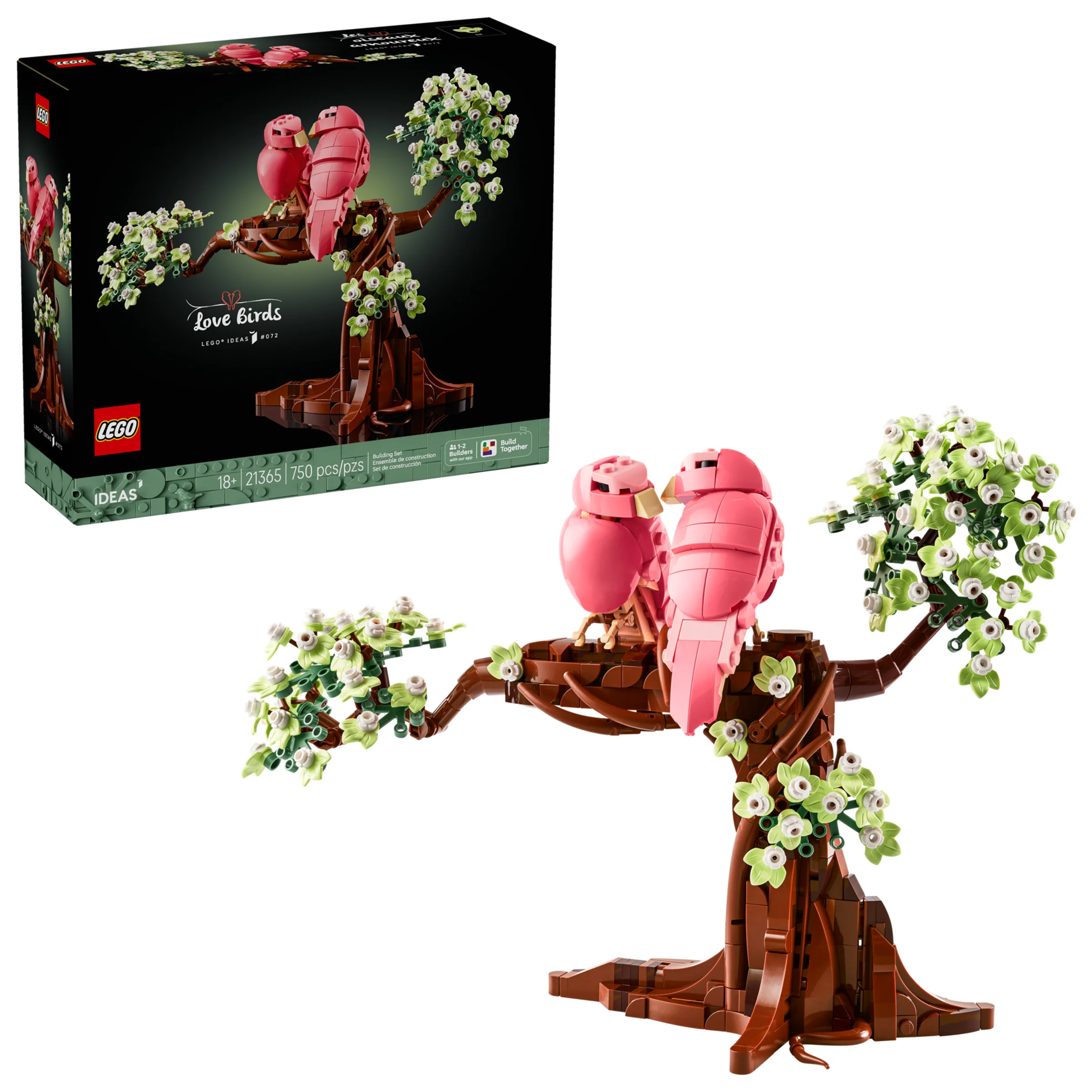 Imagine cu setul LEGO 21365 Love Birds și cutia acestuia.