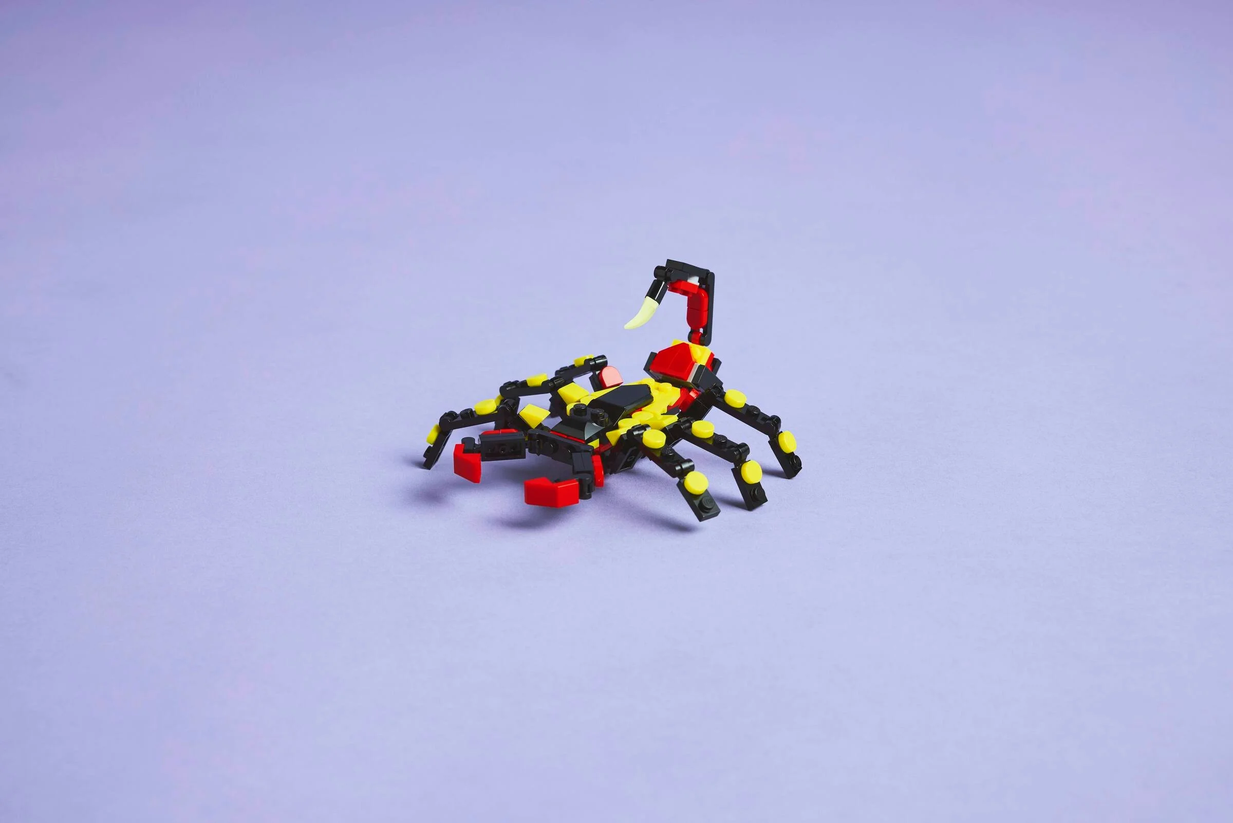 Modelul LEGO Creator 31159, un păianjen surprinzător colorat (negru, galben, roșu).