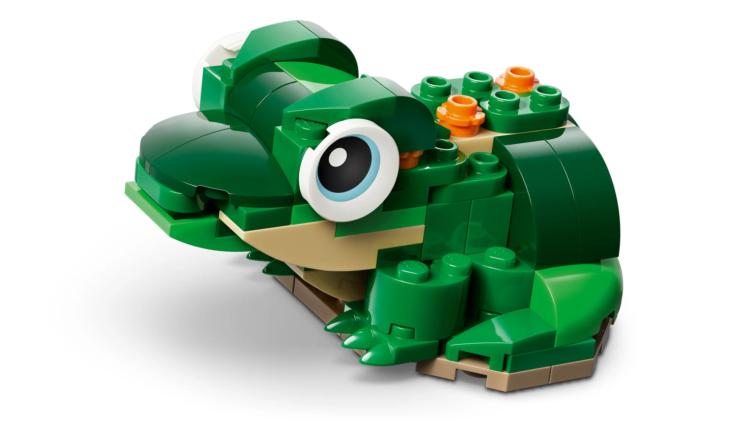 Model detaliat al broaștei țestoase LEGO 31377 cu nufăr, culori vii.