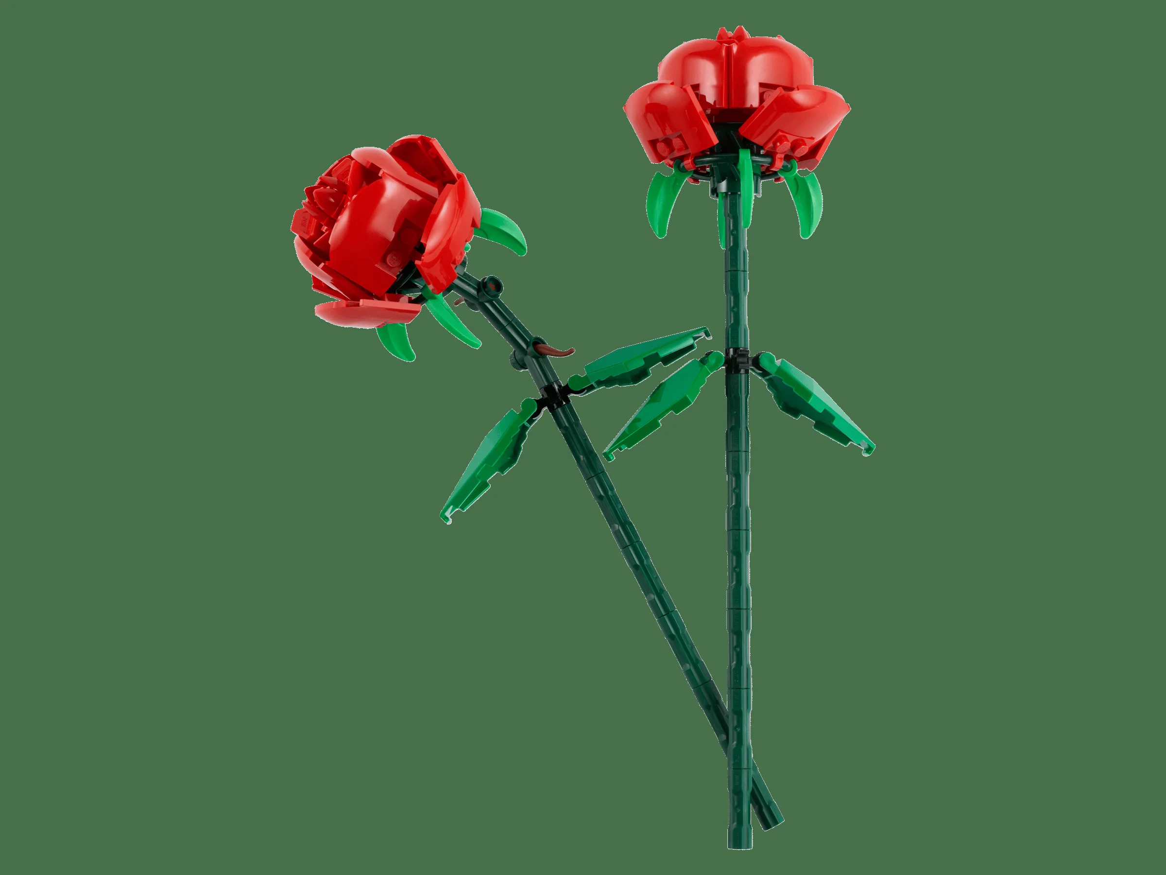 LEGO 40460 - Recenzie LEGO 40460 Trandafiri: Eleganță eternă din piese de plastic