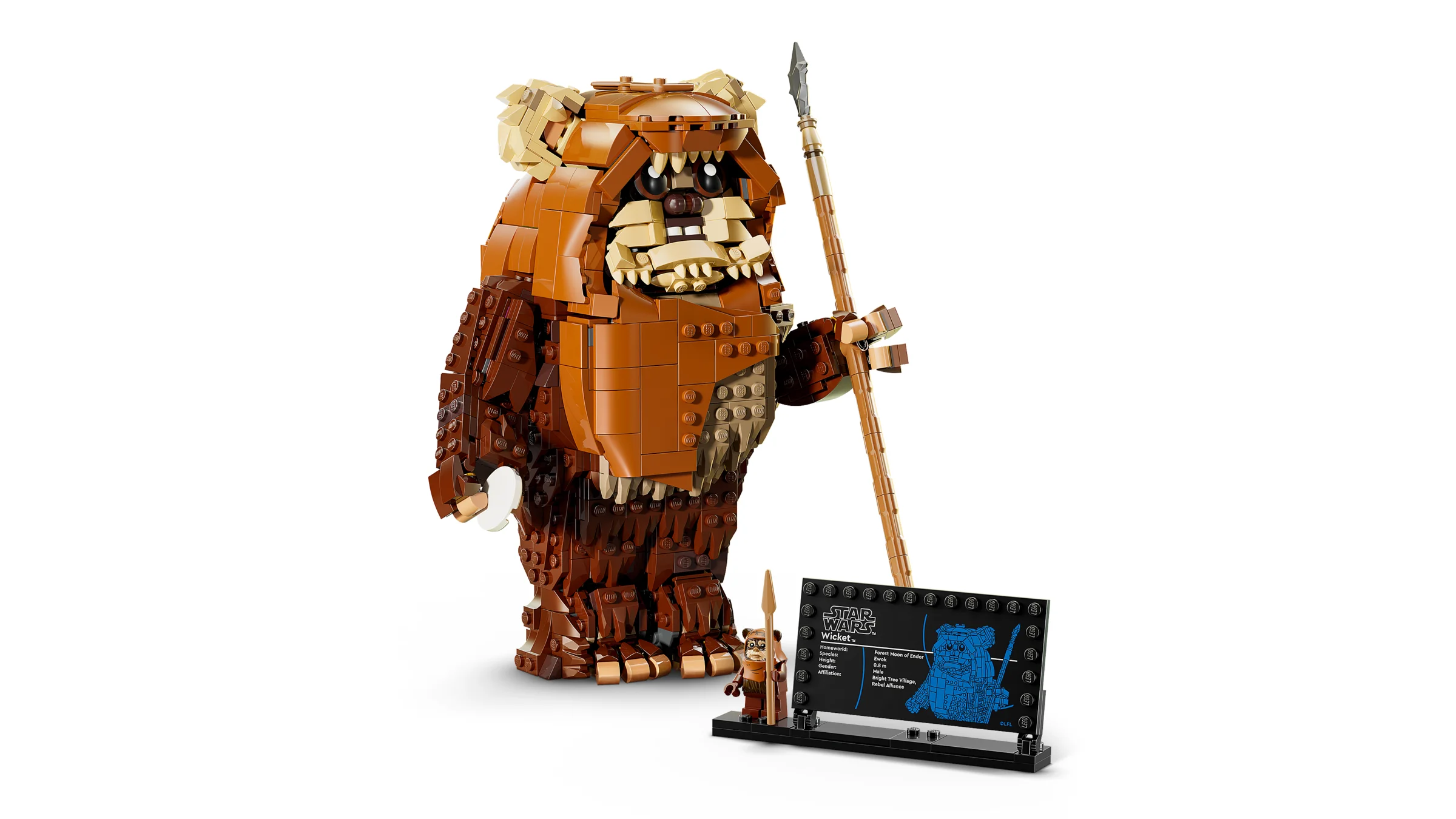 Imagine cu setul LEGO 75430 Wicket the Ewok asamblat, inclusiv minifigurina și placa informativă.