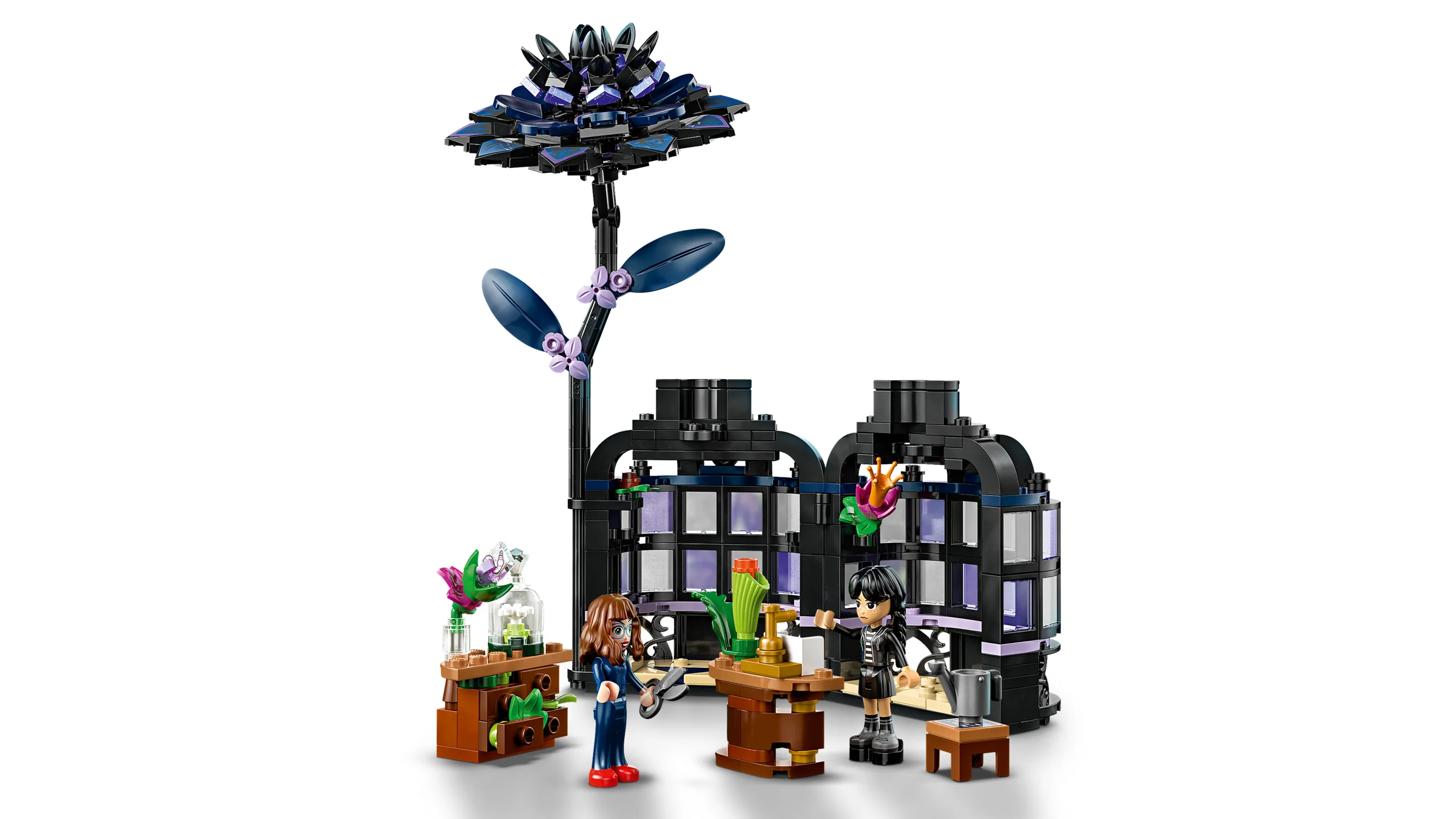 Prezentare a setului LEGO cu minifigurinele și floarea neagră emblematică.
