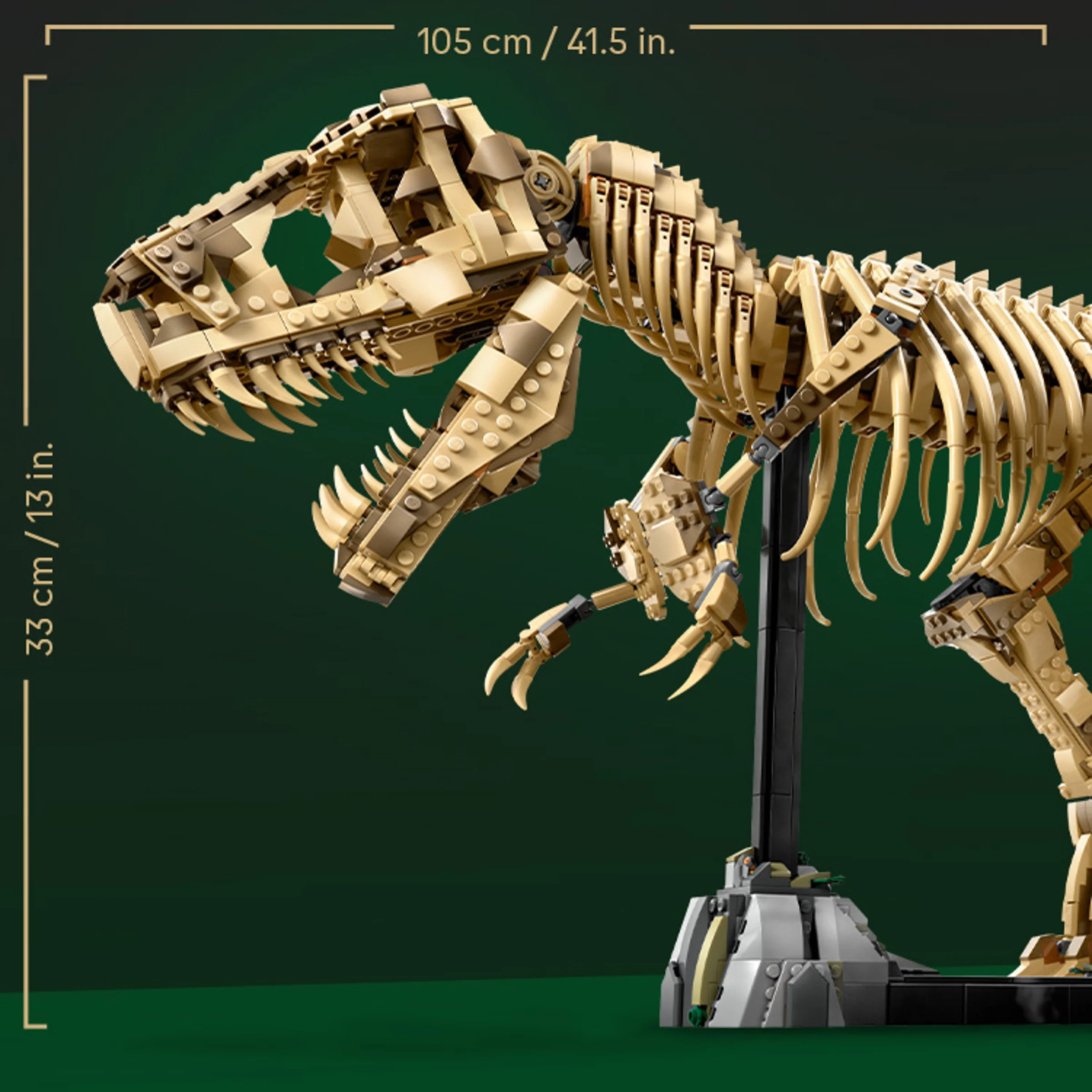 Dinozaurul T-Rex fosilizat, construit din piese LEGO, pe un stativ. Dimensiuni: 105 cm x 33 cm.
