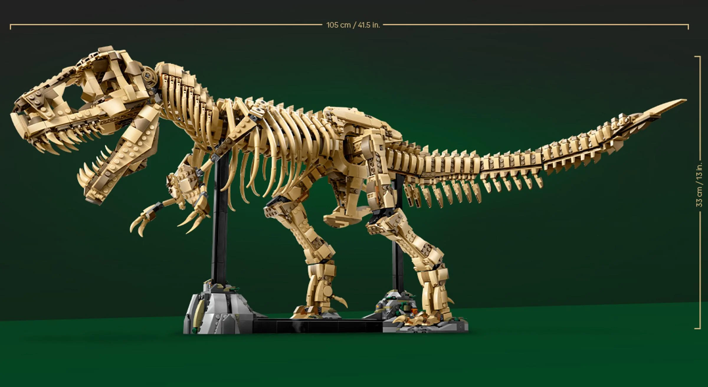 Fosilă T-Rex LEGO detaliată, cu dimensiuni afișate. Excelentă pentru expoziție.