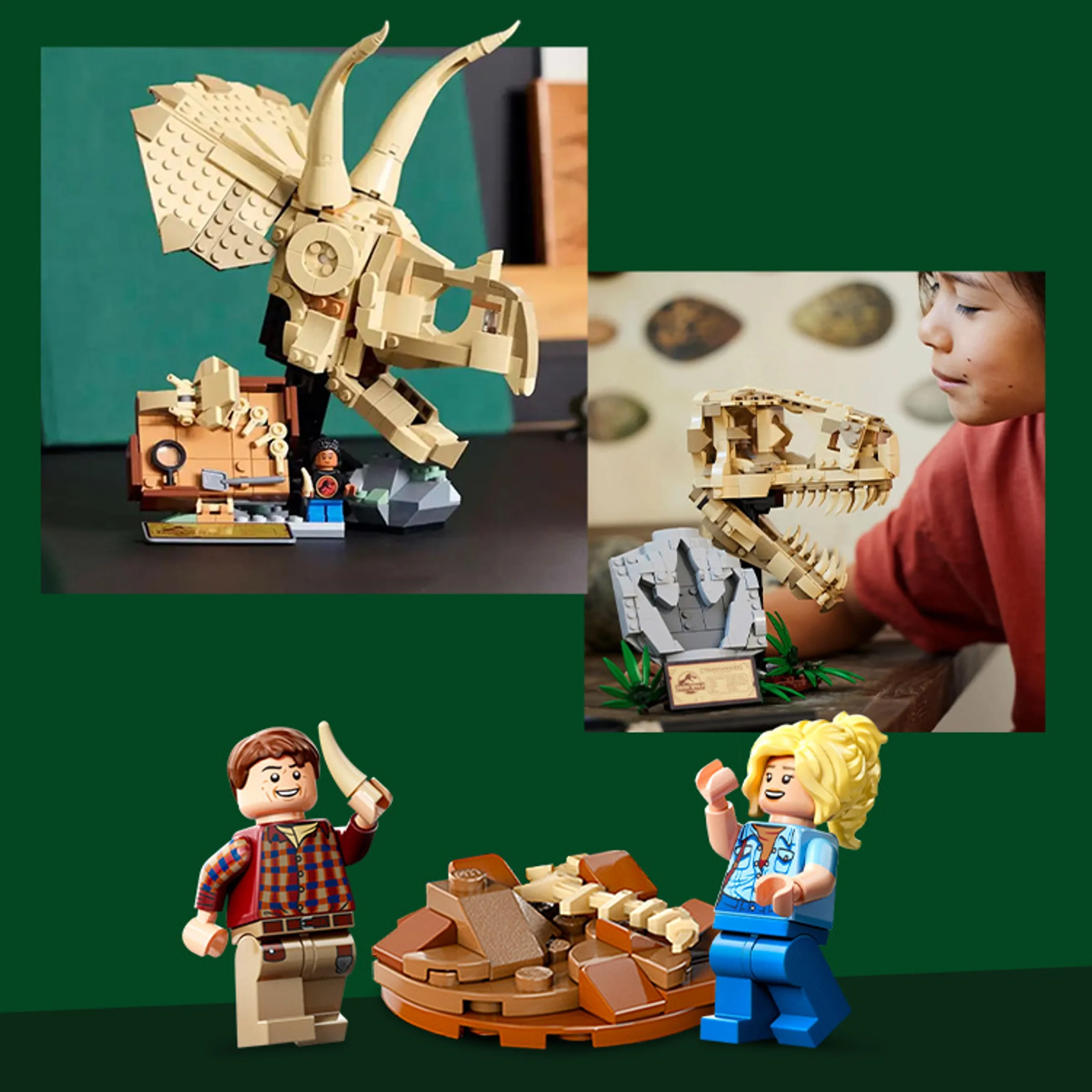 Prezentare LEGO 76968 cu minifigurine și fosile de dinozaur T-Rex și Triceratops.