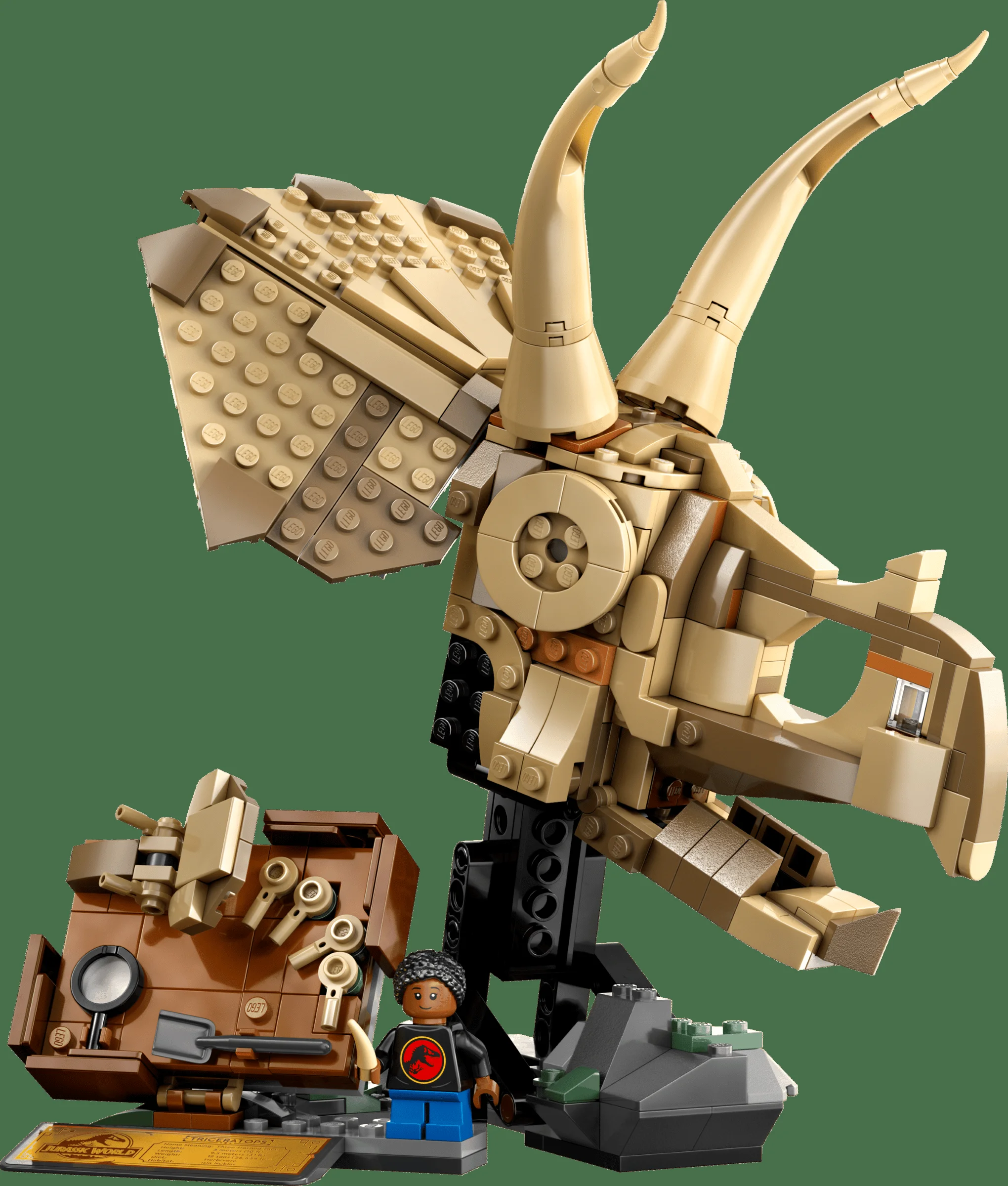 Imagine detaliată cu modelul LEGO Triceratops Skull (76969), prezentând scheletul și minifigurina.