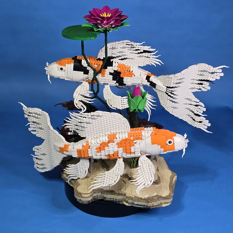 Arta mișcării în piese LEGO: Fascinantul model Koi creat de David Duperre