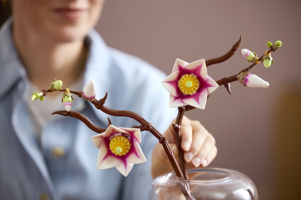 Noi seturi LEGO pentru martie 2026: Universul Pokémon, eleganța Botanicals și viteza Formulei 1