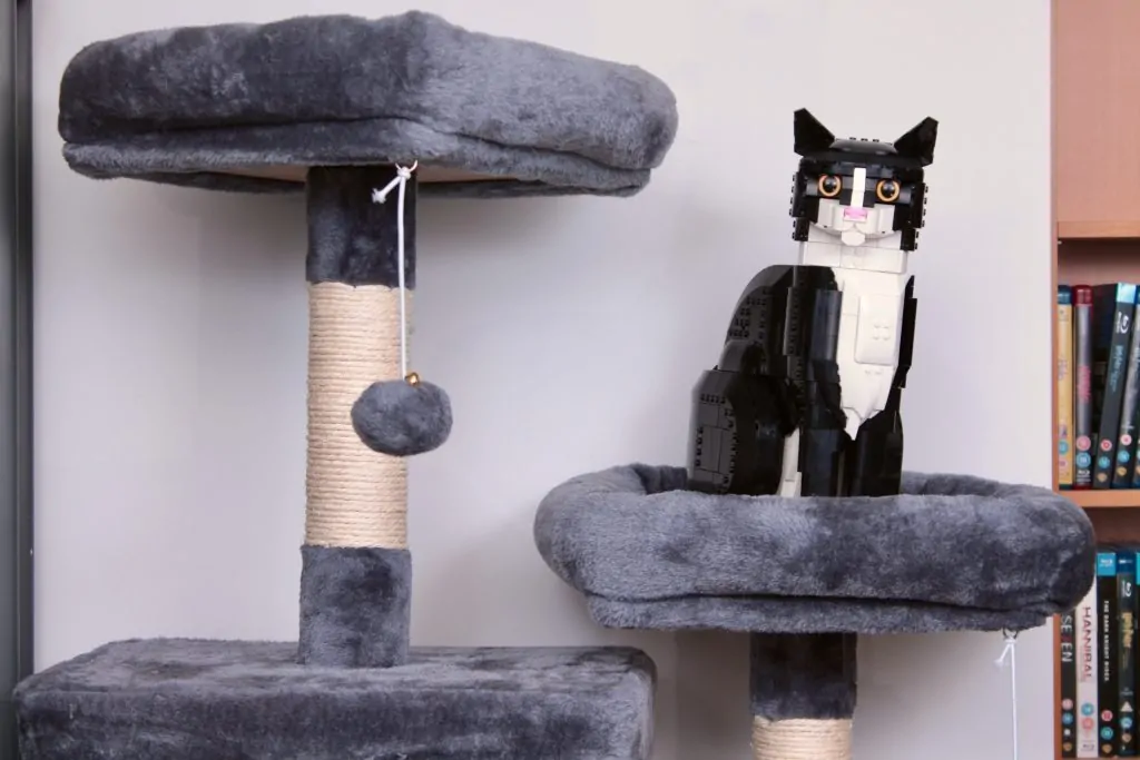 Viitorul colecției de feline LEGO: Ce urmează după succesul răsunător al modelului Tuxedo Cat?