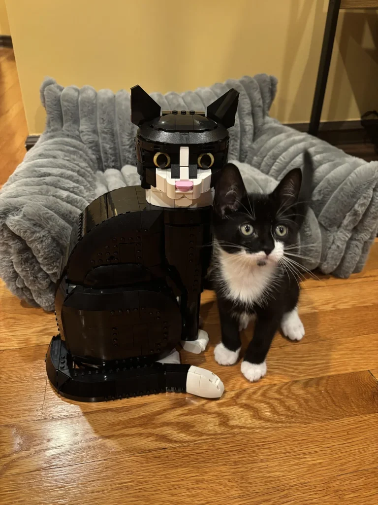 Viitorul colecției de feline LEGO: Ce urmează după succesul răsunător al modelului Tuxedo Cat?