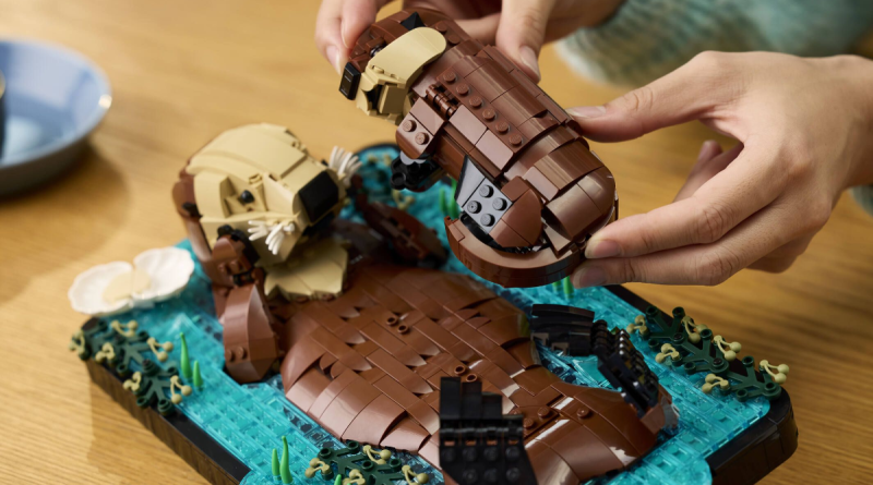 Detalii inedite despre LEGO Ideas 21366 Floating Sea Otters: De ce a fost esențială adăugarea puiului în designul final