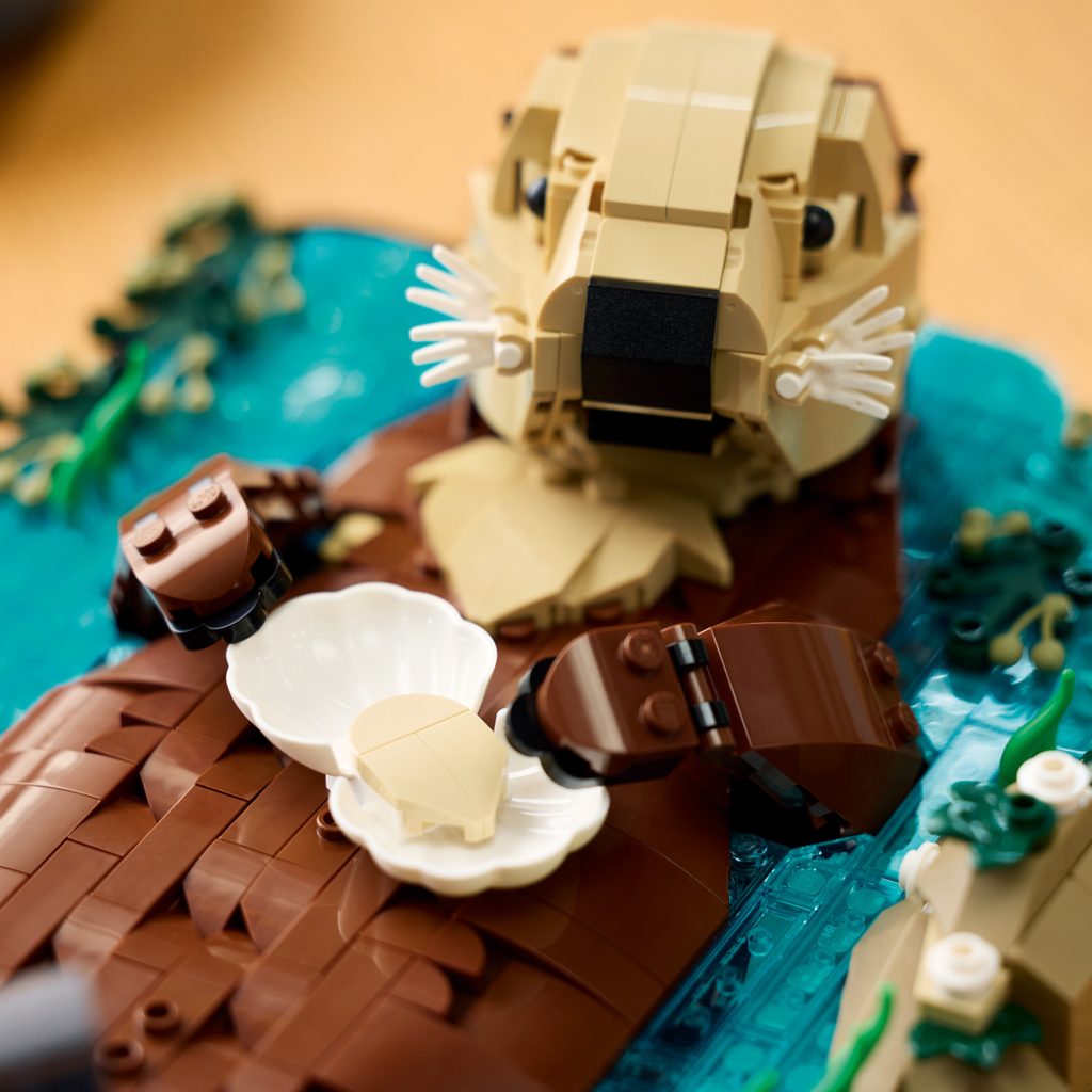 Detalii noi despre LEGO Ideas 21366 Floating Sea Otters: Cum a evoluat designul de la concept la setul oficial