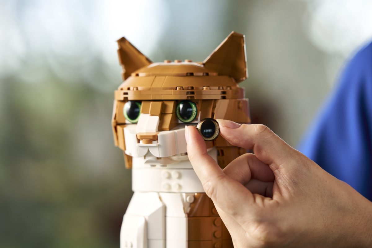 LEGO anunță 21376 Orange Cat: Cum a transformat pasiunea fanilor un succes viral într-o serie de colecție