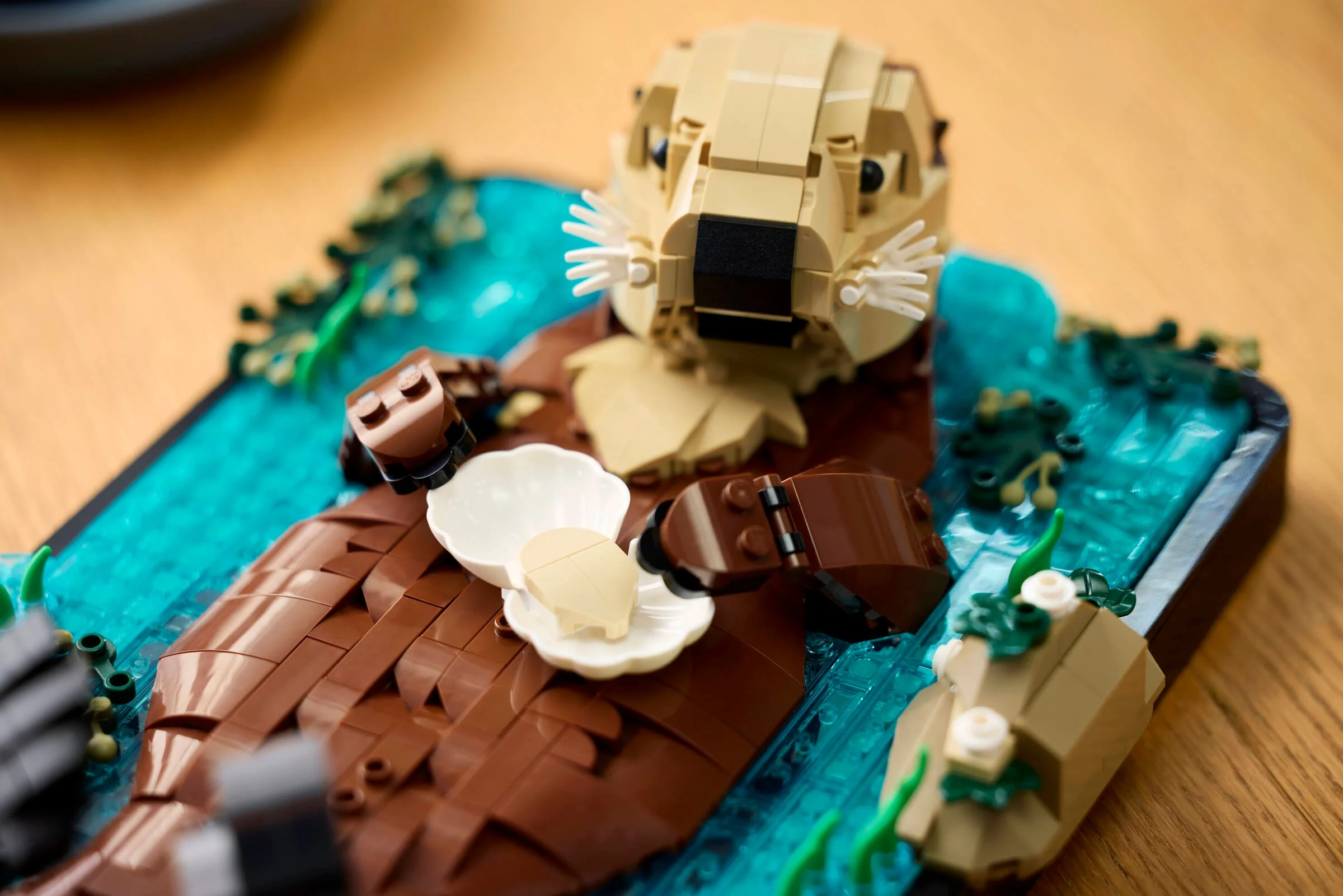 O vidră de mare LEGO plutind, ținând scoici. Un detaliu frumos construit.