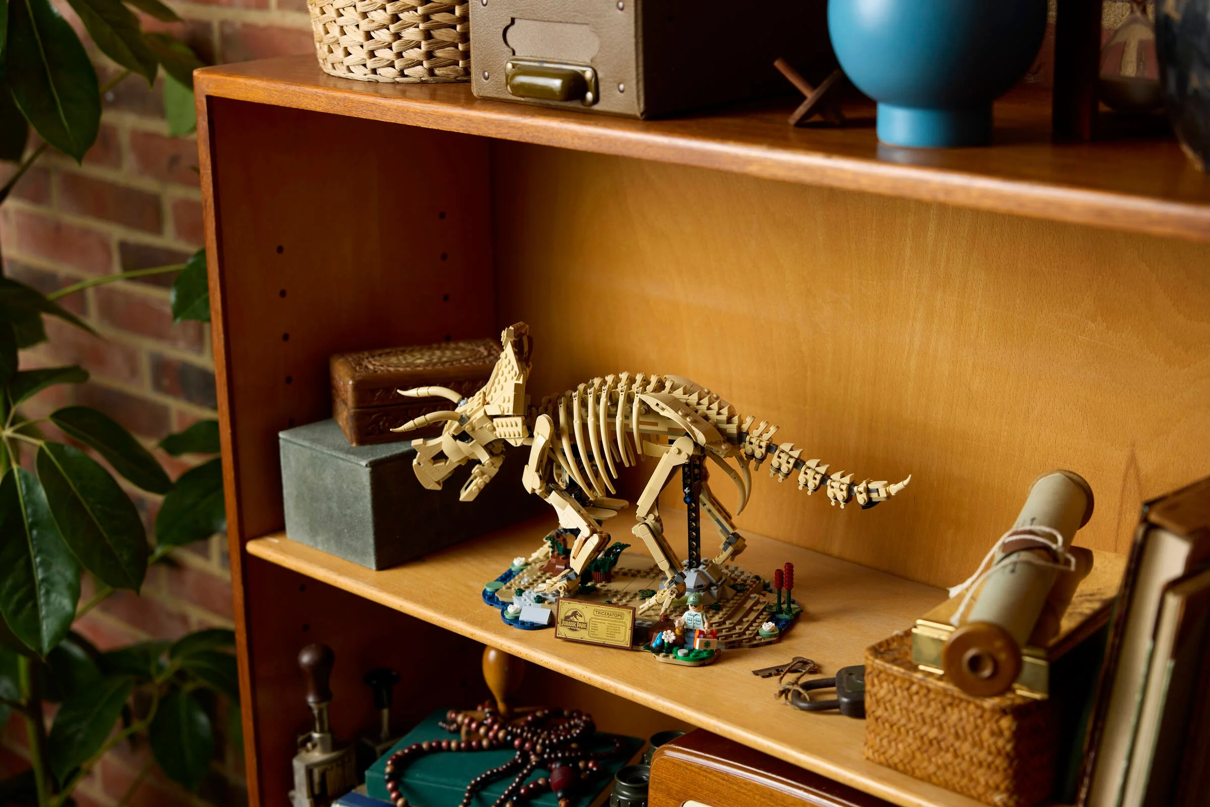 Fosila de Triceratops LEGO, expusă pe o etajeră, o piesă de decor unică și captivantă.