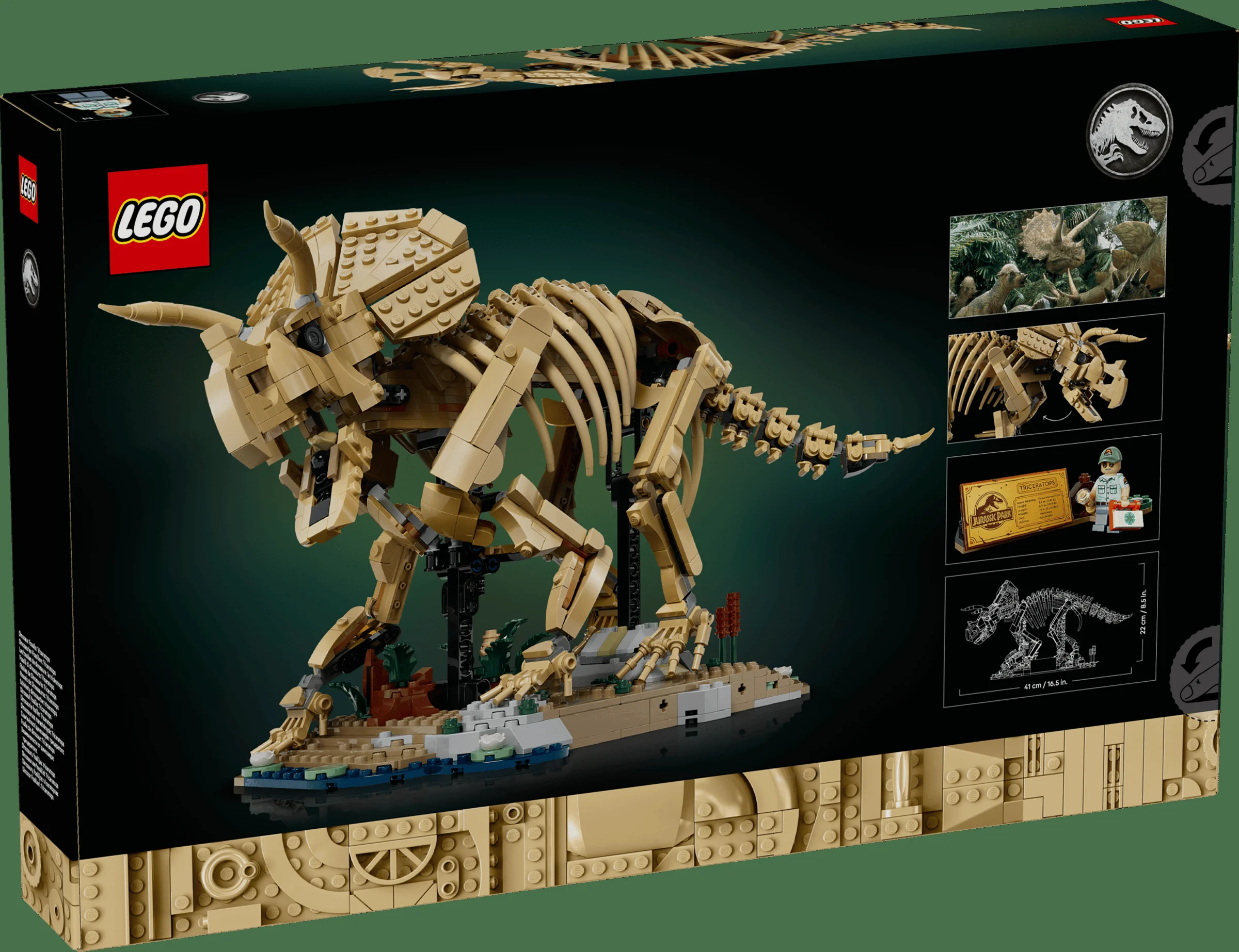 Cutia setului LEGO 77985 cu scheletul Triceratops, model detaliat pentru fanii Jurassic World.
