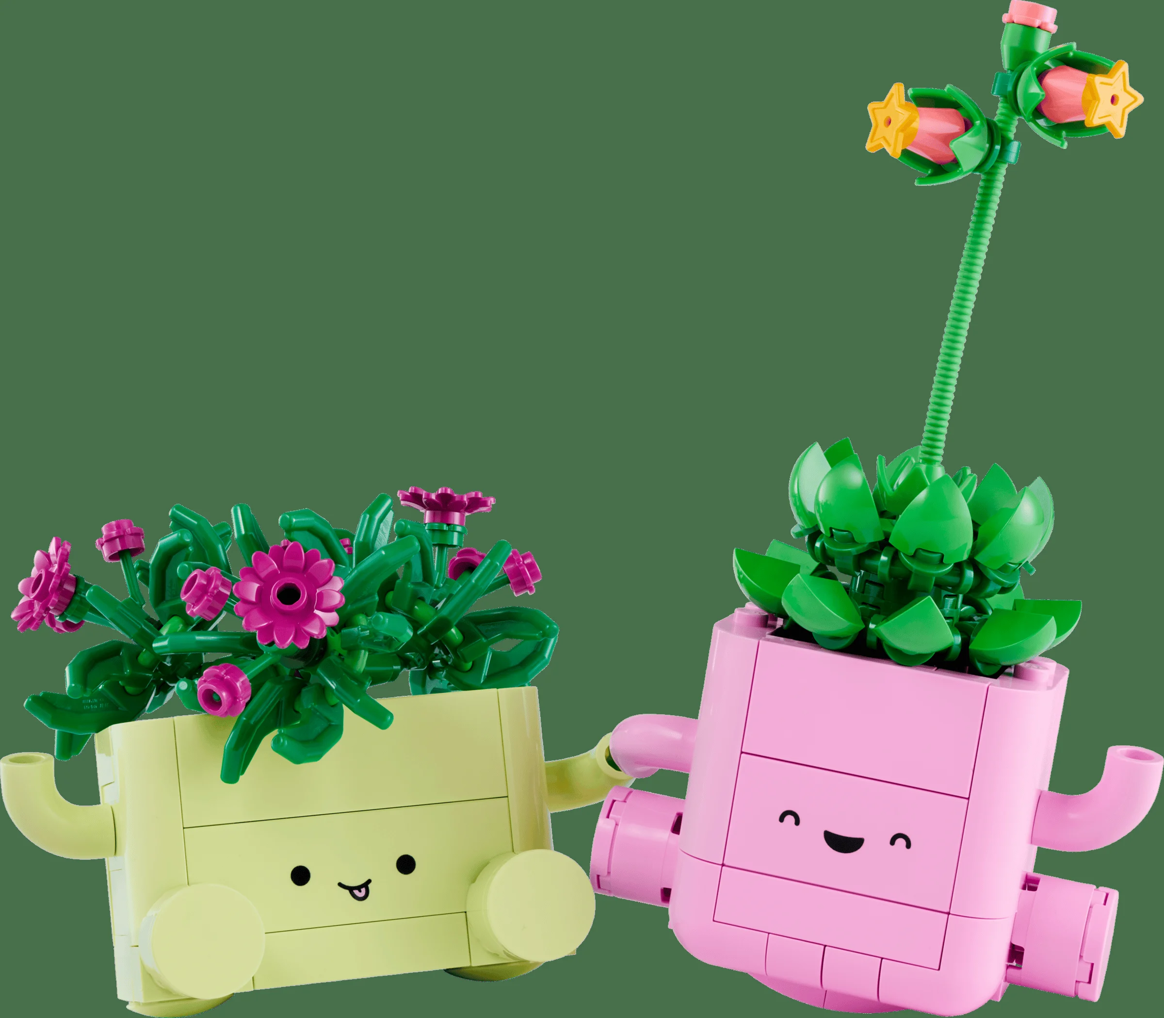 LEGO 11506 - Recenzie LEGO 11506 Plante care se leagănă: O doză de bucurie botanică
