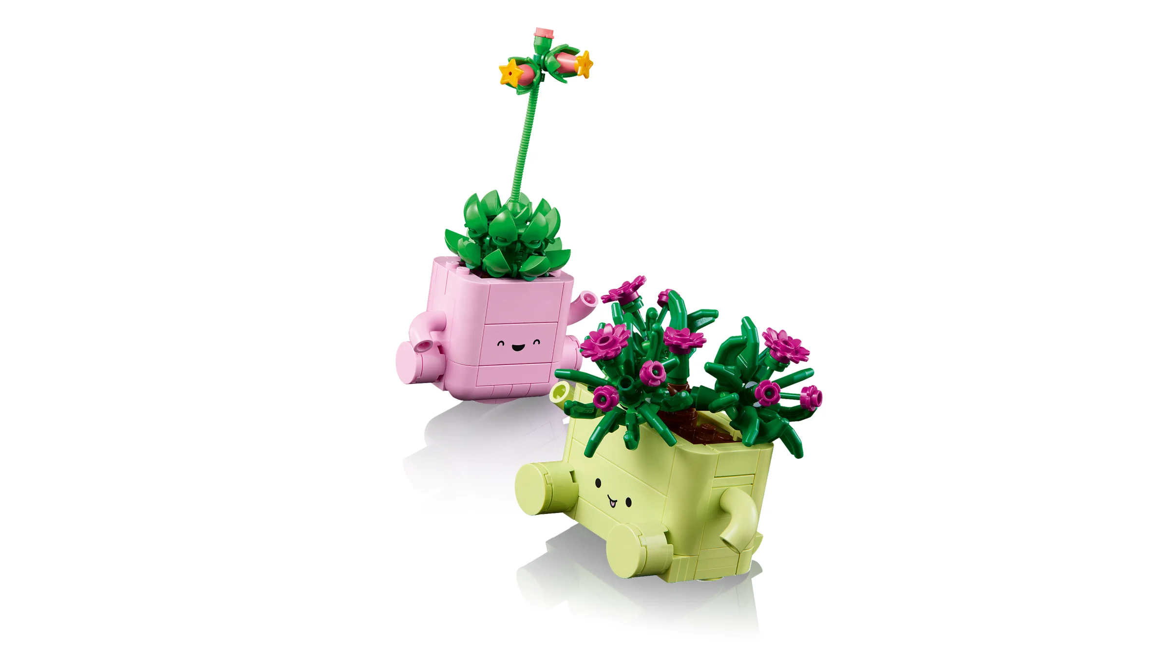 Imagine cu setul LEGO 11506, două ghivece cu plante zâmbitoare.