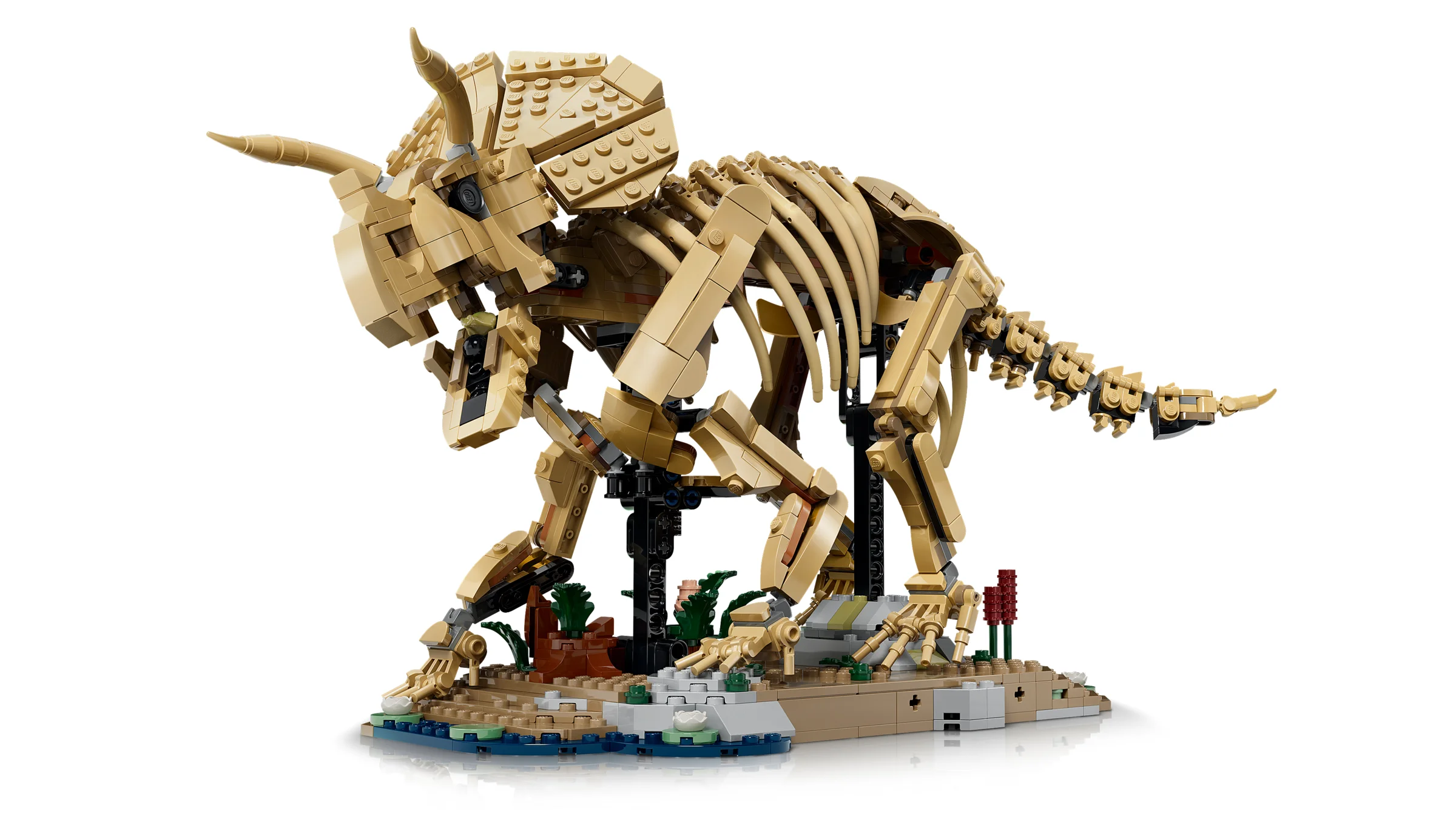 Model detaliat LEGO al unui schelet Triceratops pe un stand decorat.