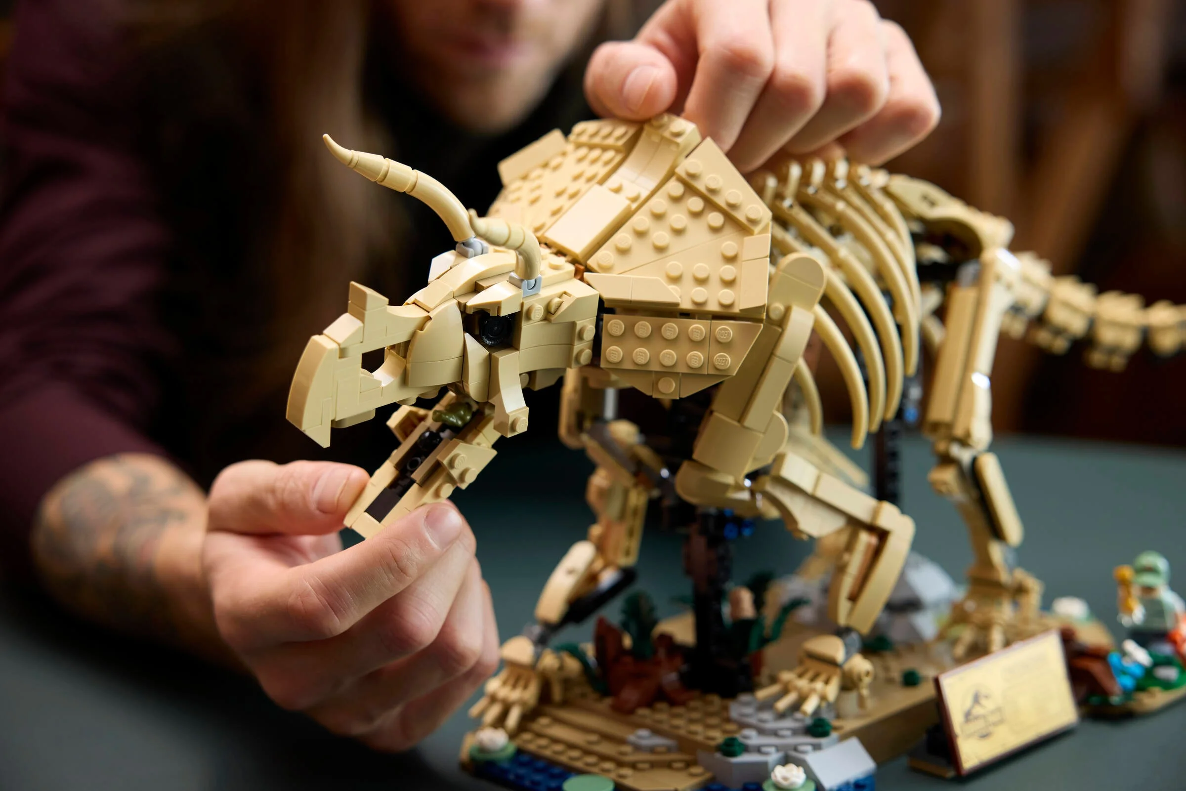 Modelul LEGO Triceratops, un schelet fosilizat ținut în mâini, detaliind construcția.