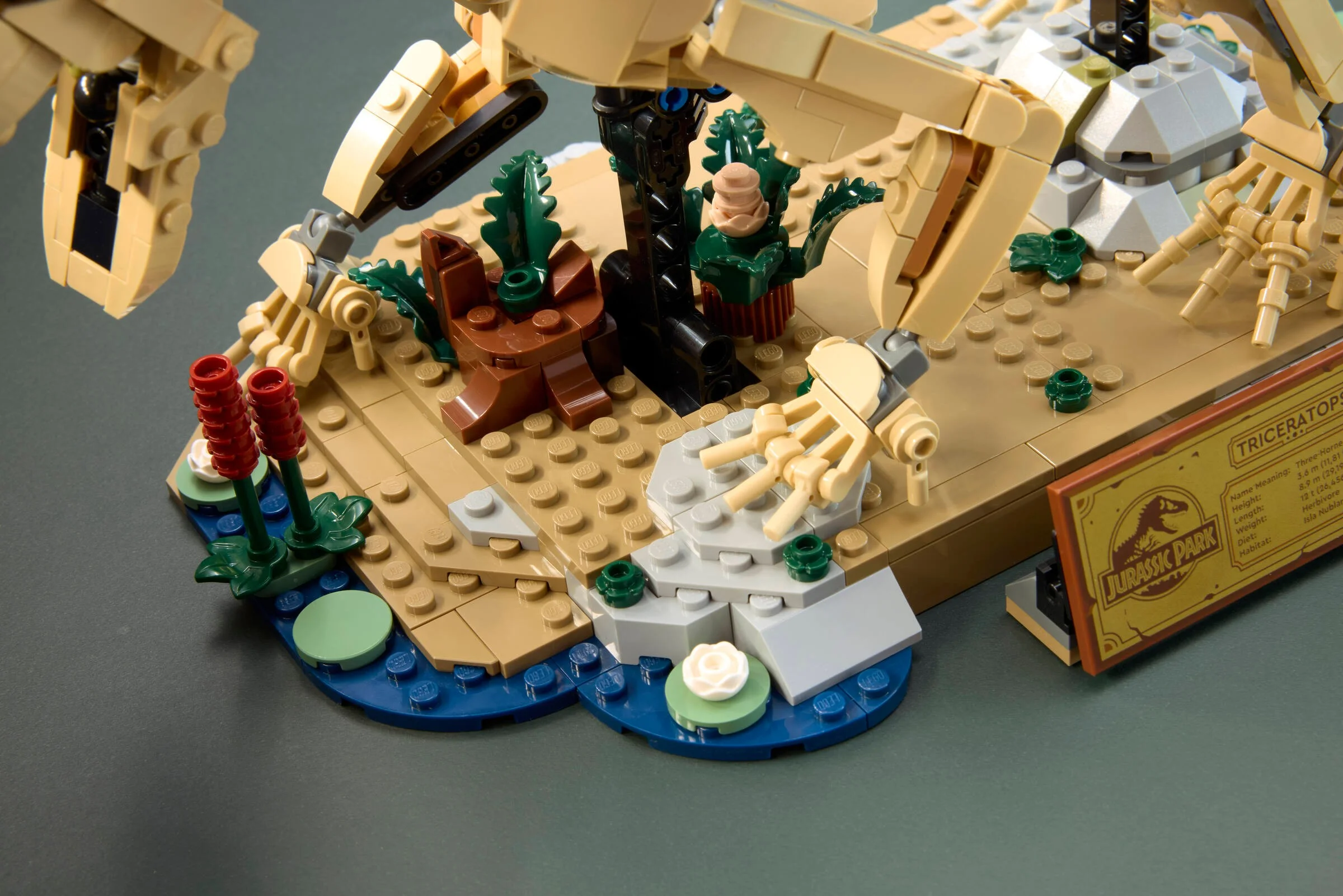 Prim-plan detaliat al fosilei de Triceratops LEGO, cu elemente de habitat și panou informativ.