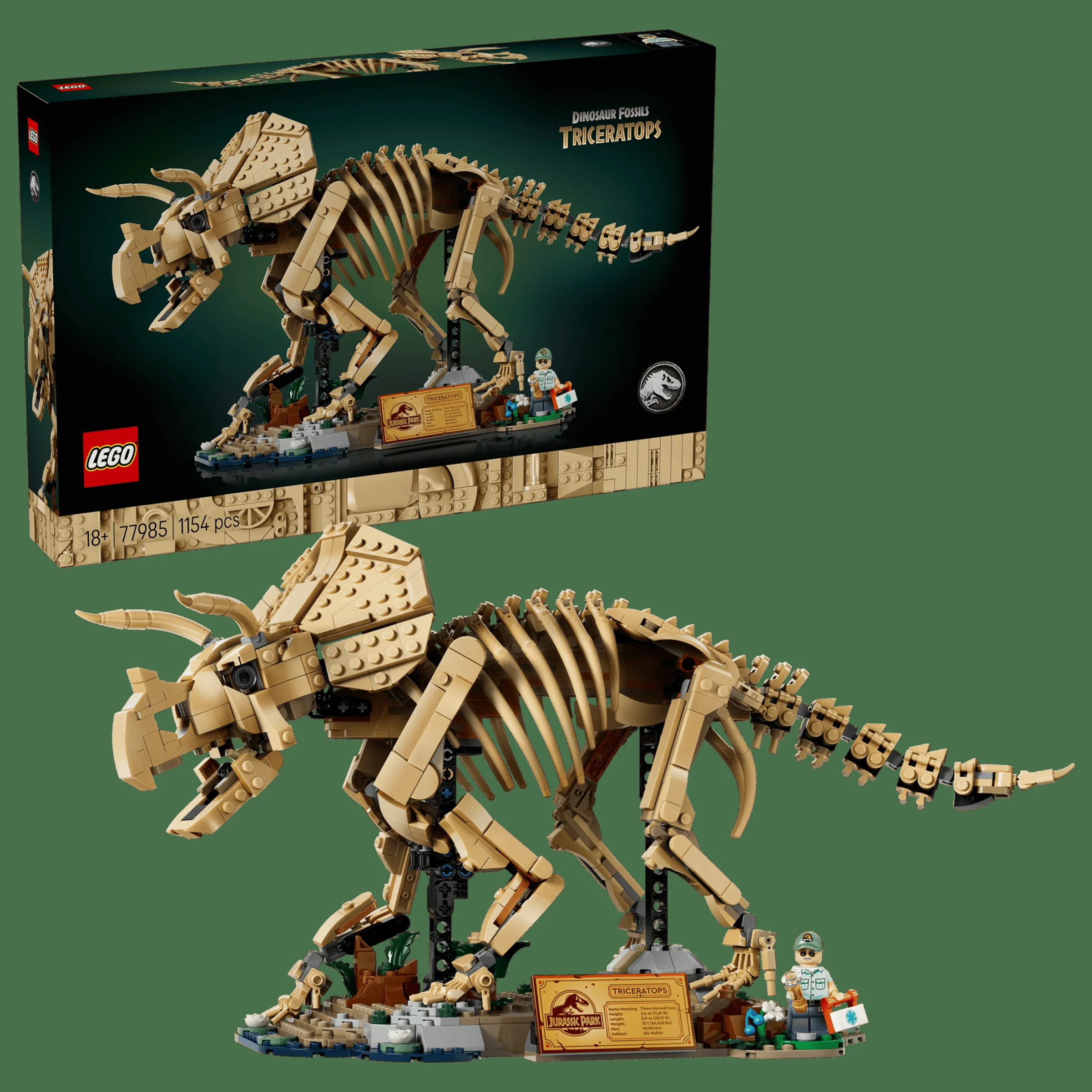 Imagine cu setul LEGO 77985 Dinosaur Fossils: Triceratops, model și cutie. Detaliu excelent al fosilei.