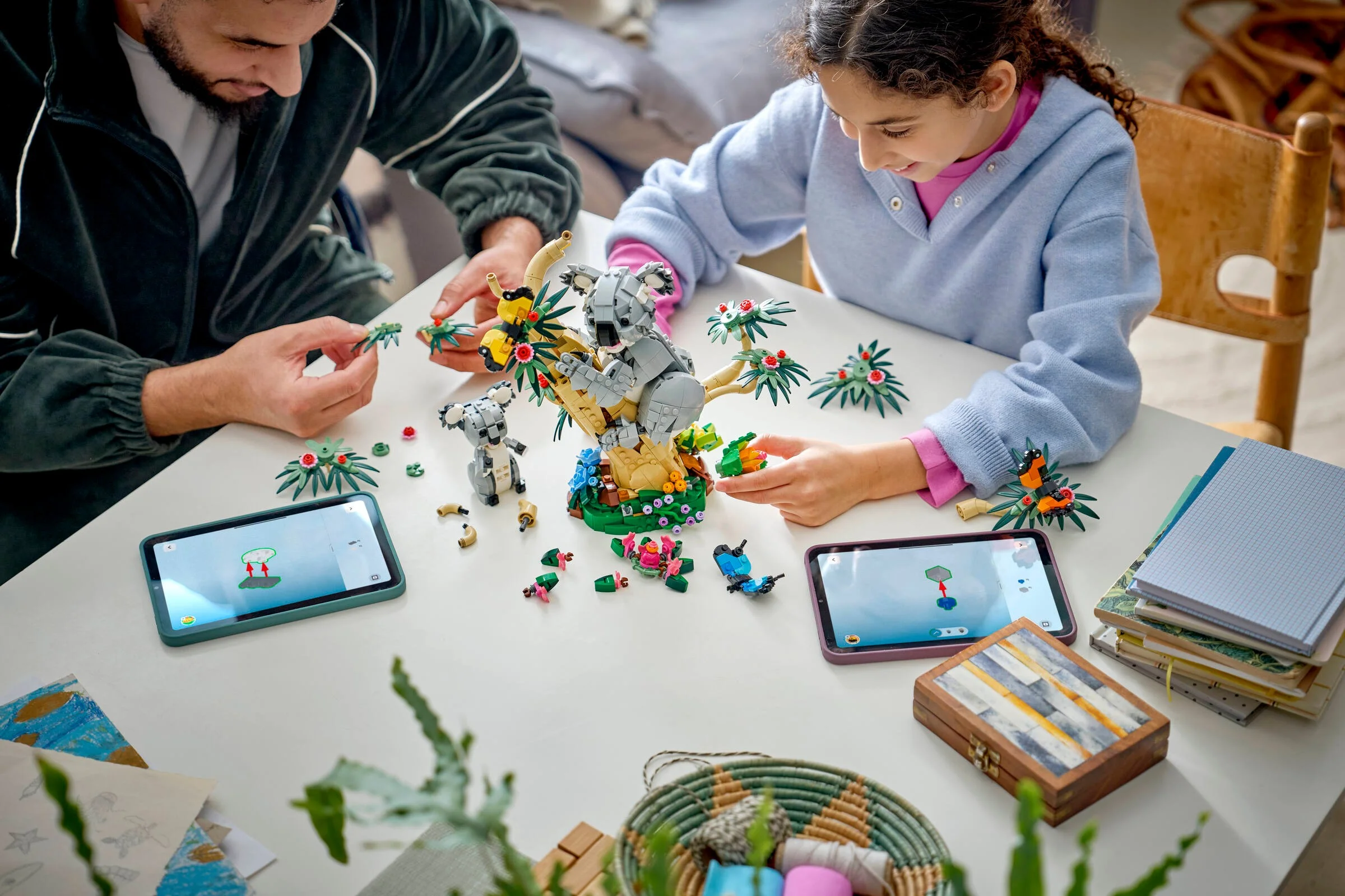 Un tată și o fiică construiesc setul LEGO Koala, urmând instrucțiunile de pe tablete.